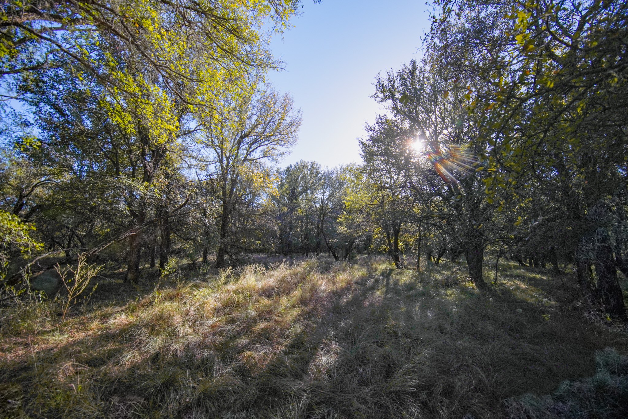 524 Malone Lane Jacksboro TX 76458