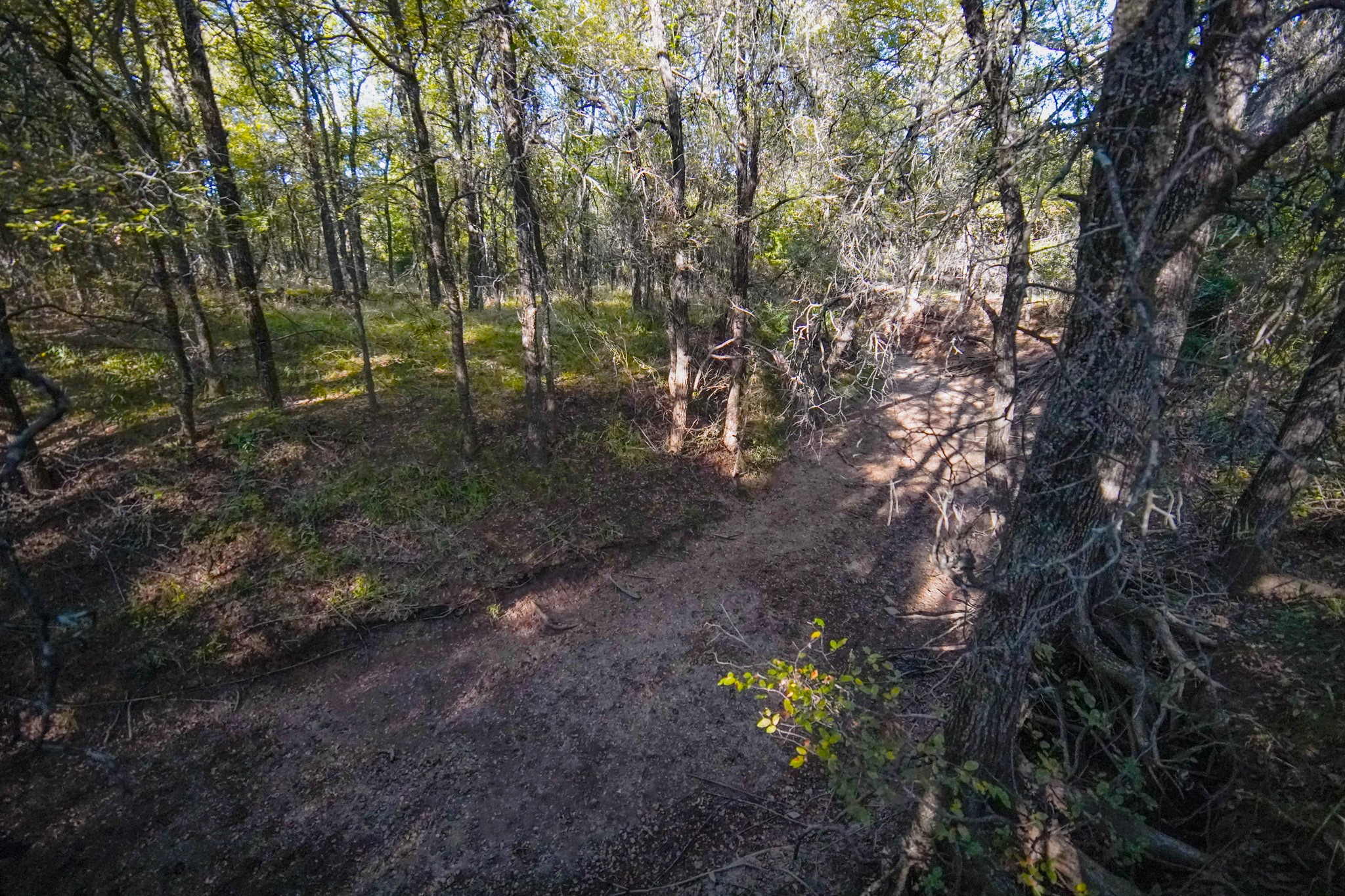 524 Malone Lane Jacksboro TX 76458