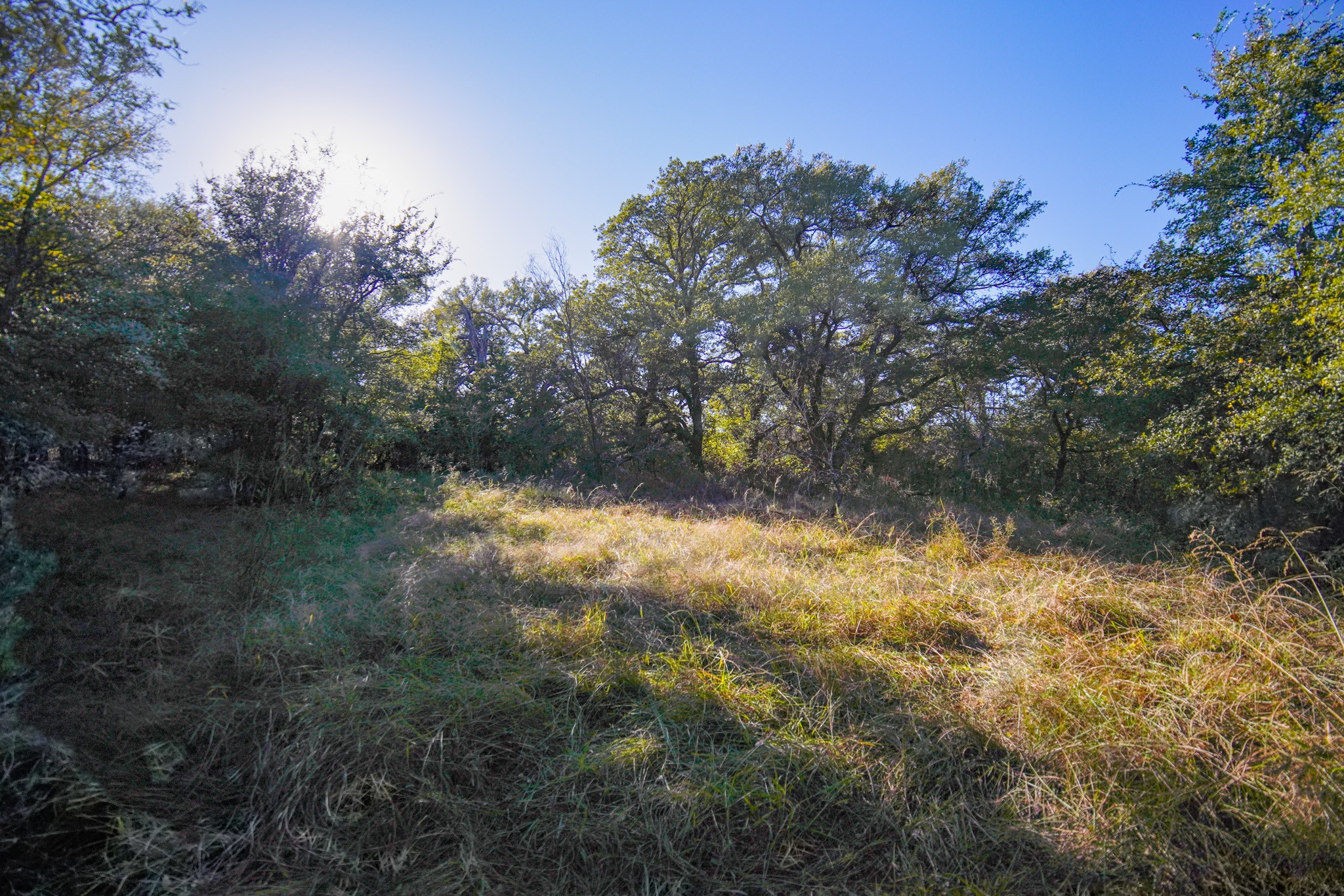 524 Malone Lane Jacksboro TX 76458