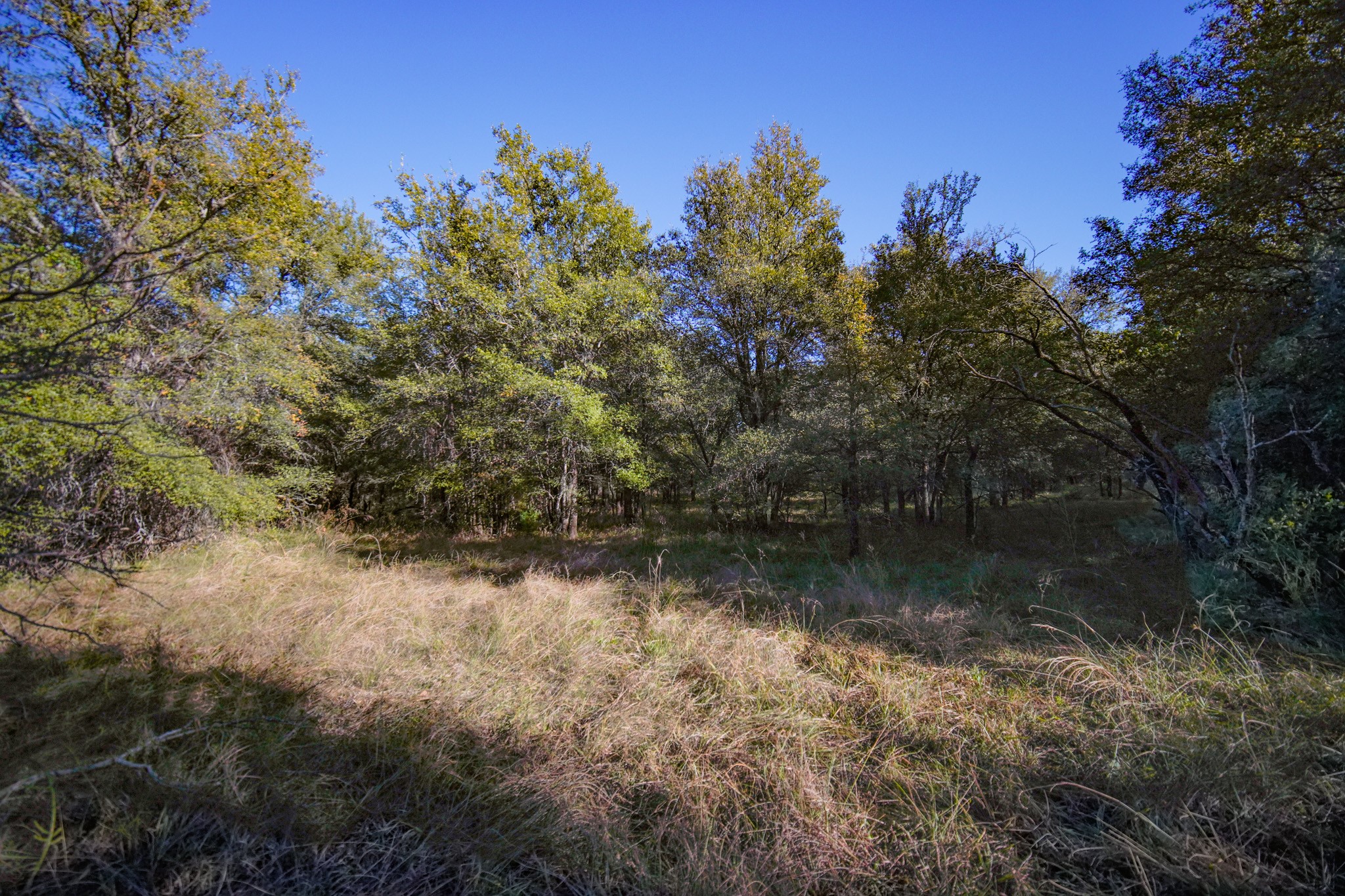 524 Malone Lane Jacksboro TX 76458