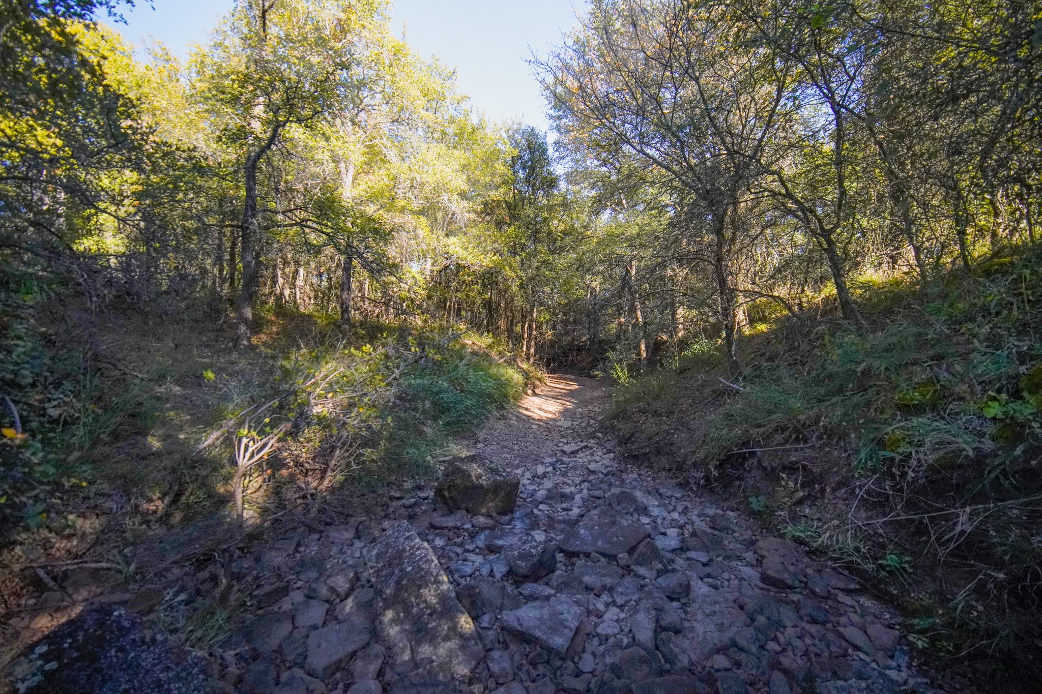 524 Malone Lane Jacksboro TX 76458