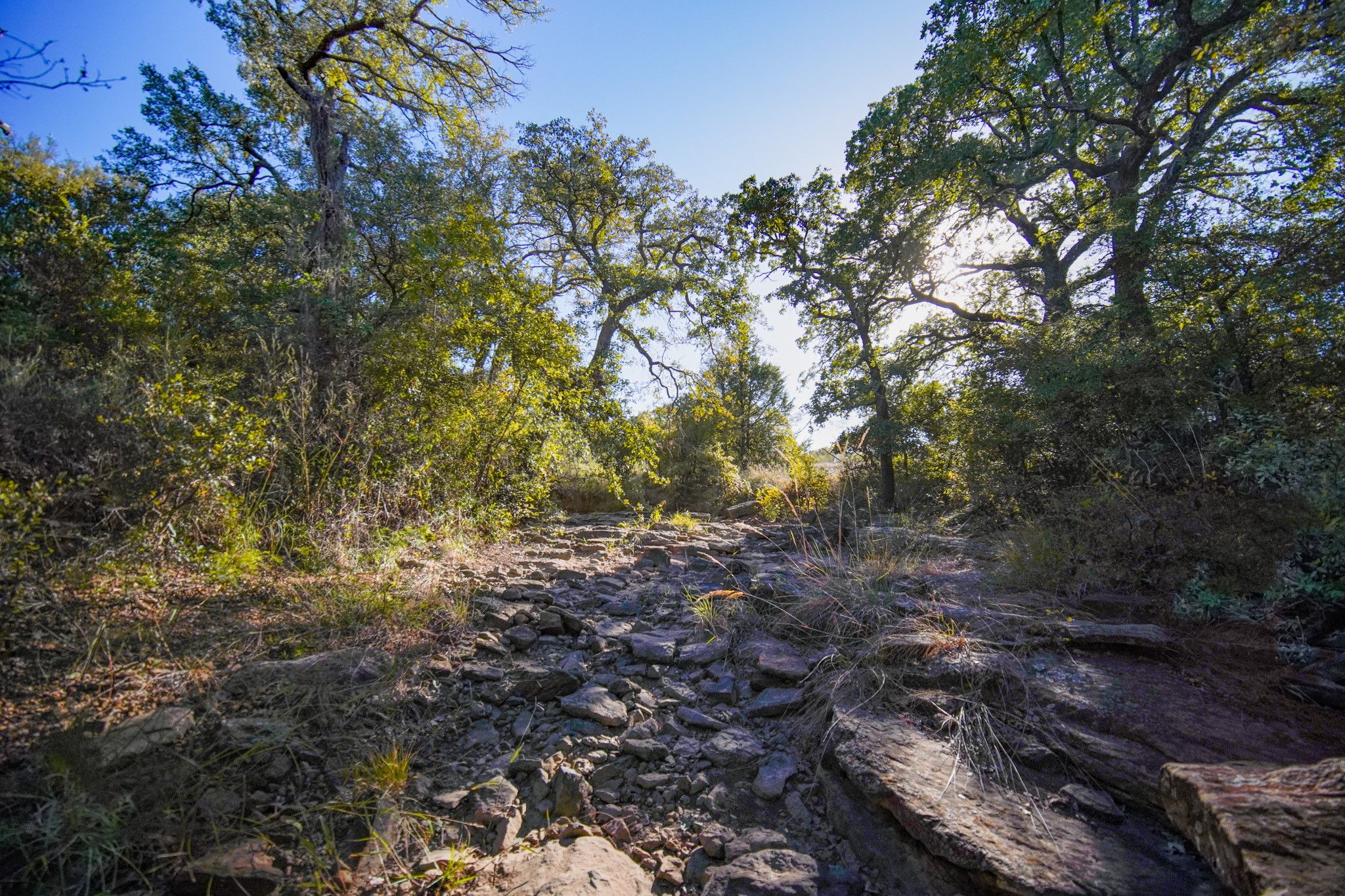 524 Malone Lane Jacksboro TX 76458