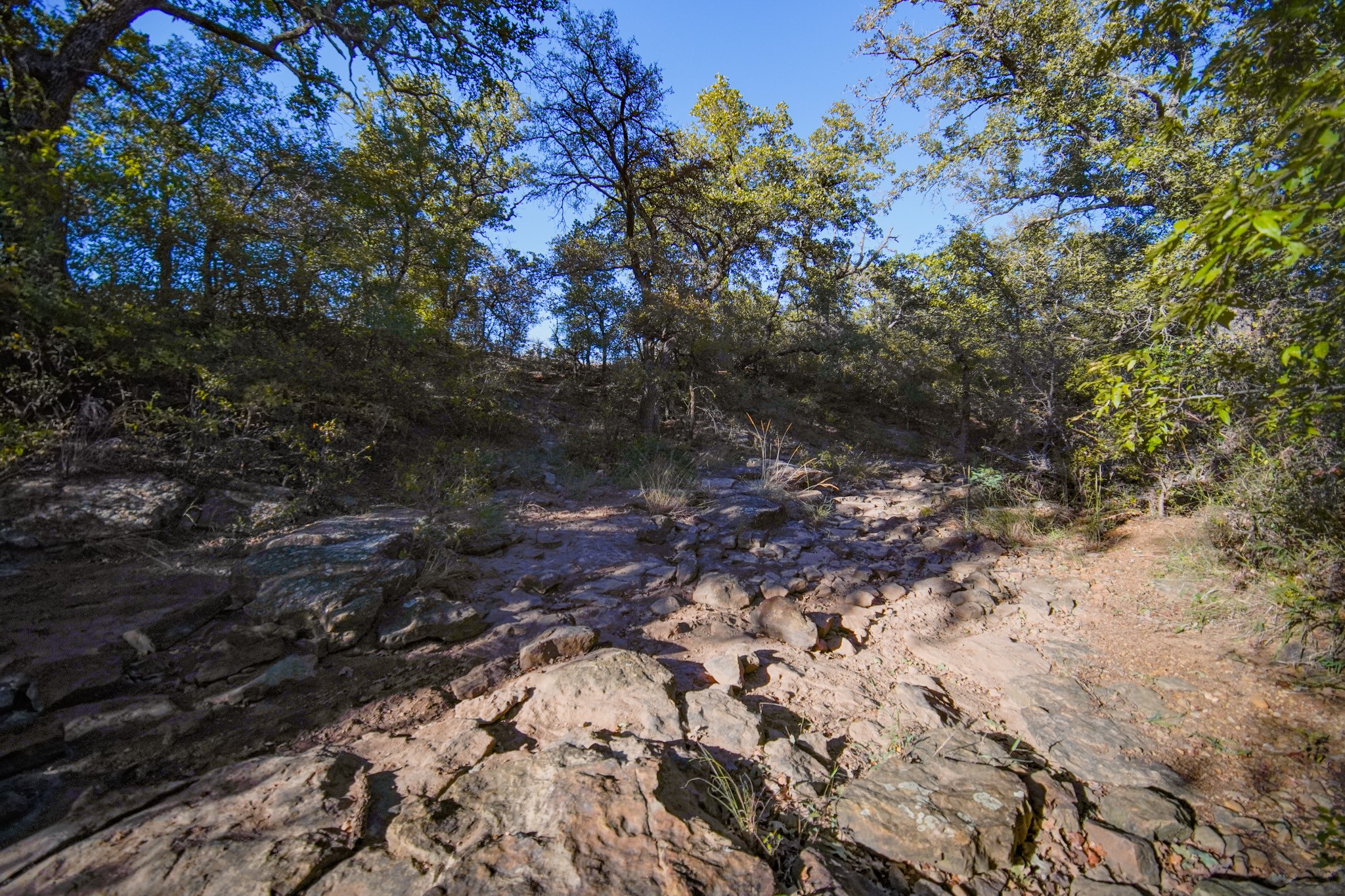 524 Malone Lane Jacksboro TX 76458