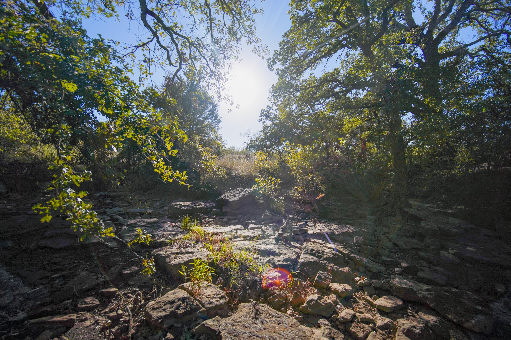 524 Malone Lane Jacksboro TX 76458
