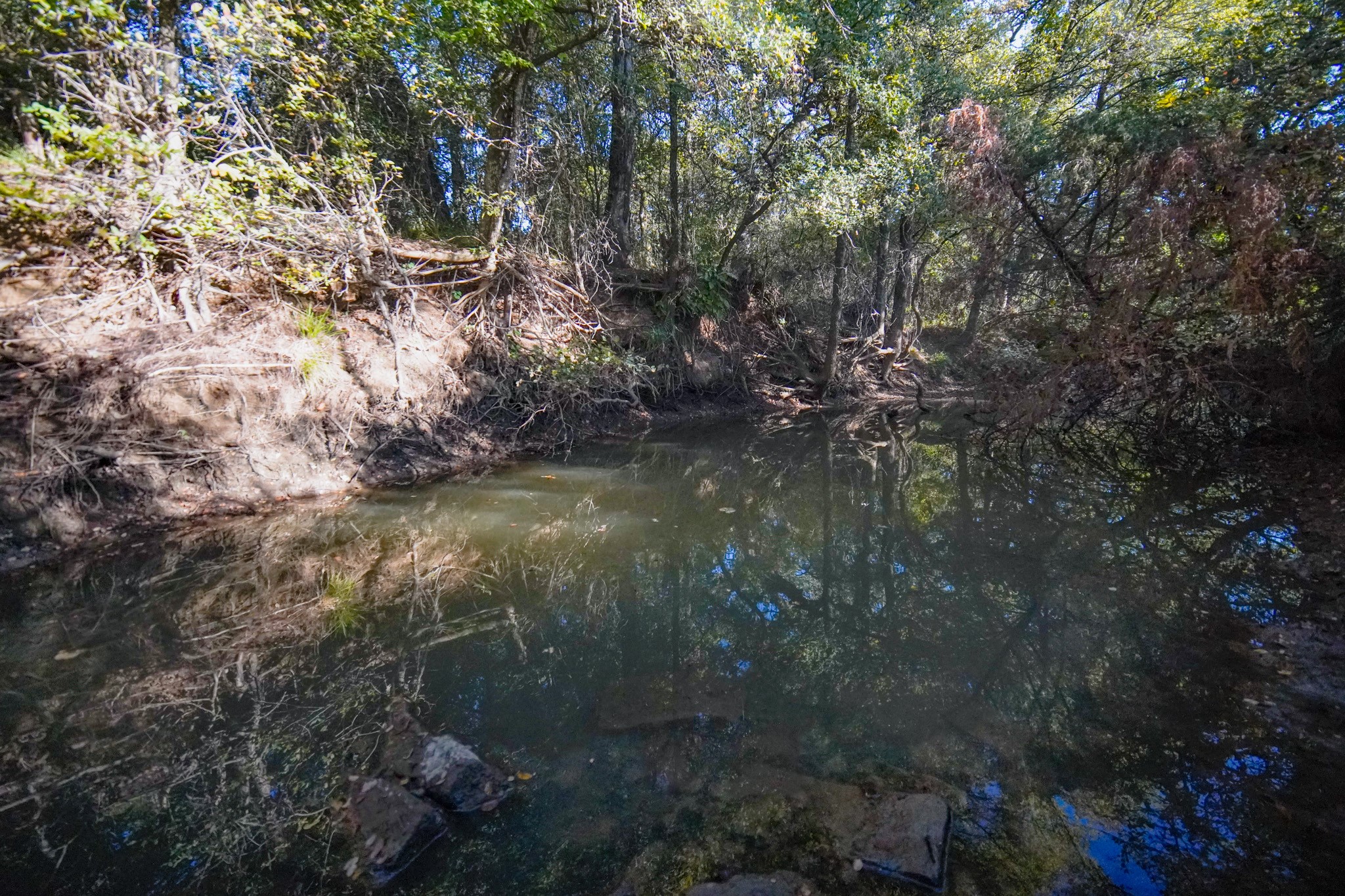 524 Malone Lane Jacksboro TX 76458