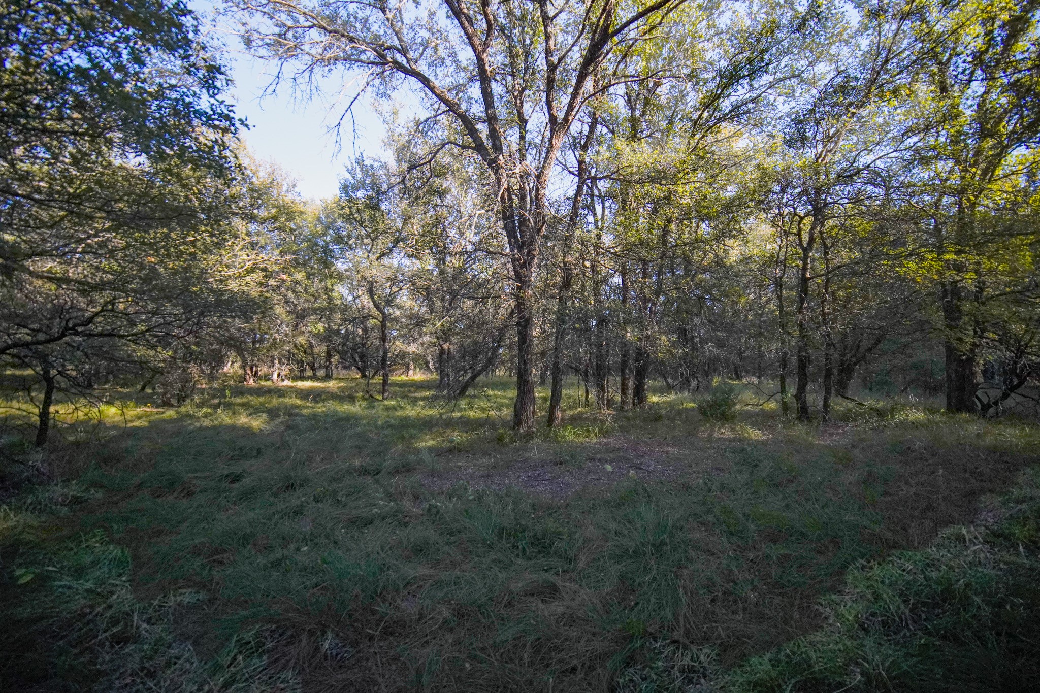 524 Malone Lane Jacksboro TX 76458