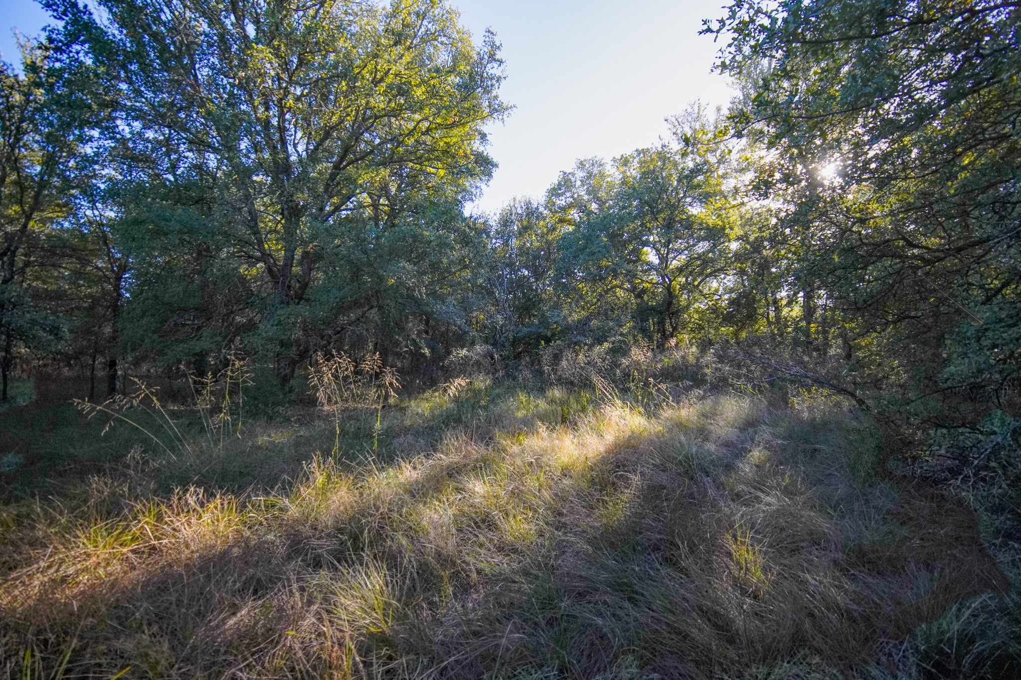 524 Malone Lane Jacksboro TX 76458