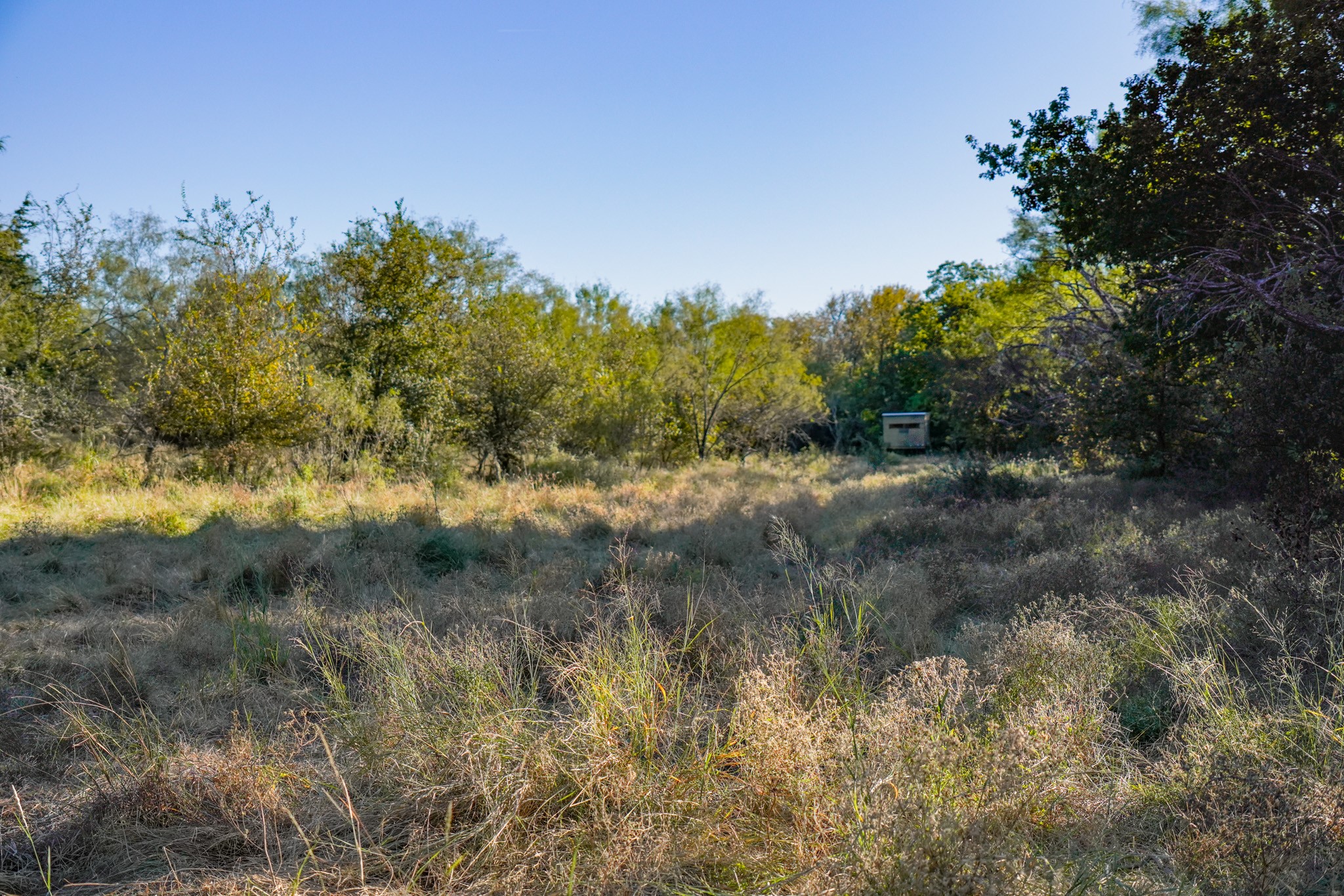 524 Malone Lane Jacksboro TX 76458
