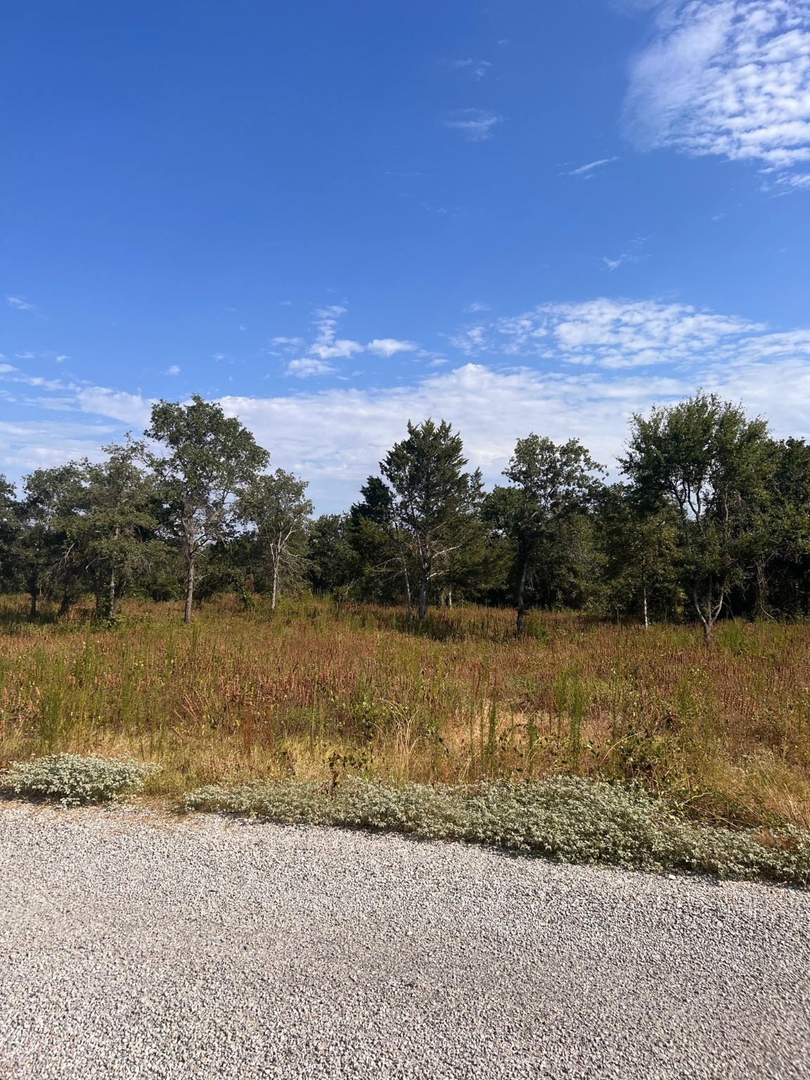 156 Doe Nocona TX 76255