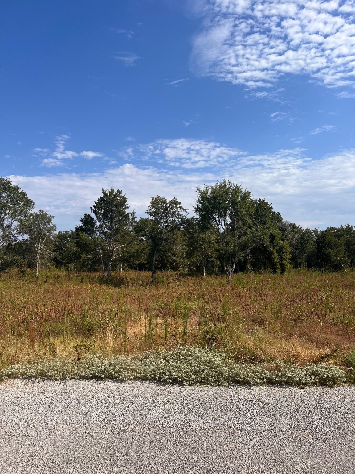 156 Doe Nocona TX 76255