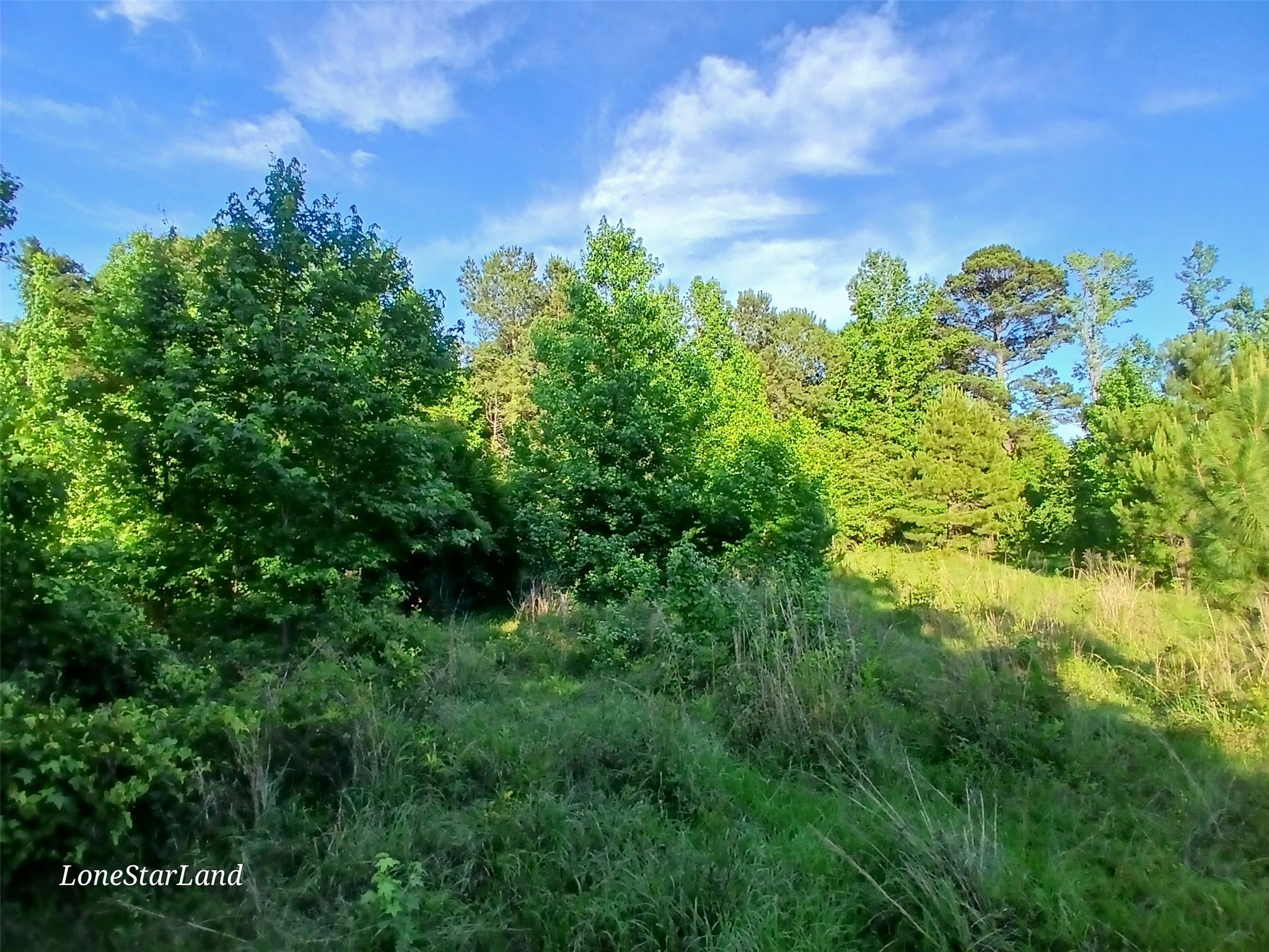 475 County Road 4421 Pittsburg TX 75686