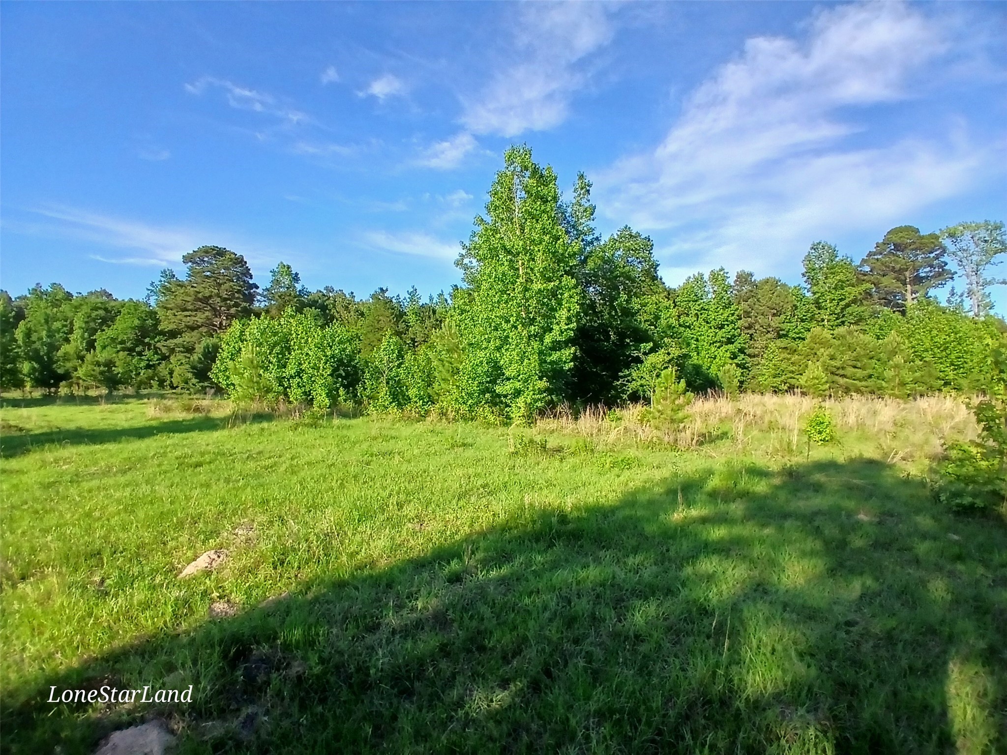 475 County Road 4421 Pittsburg TX 75686