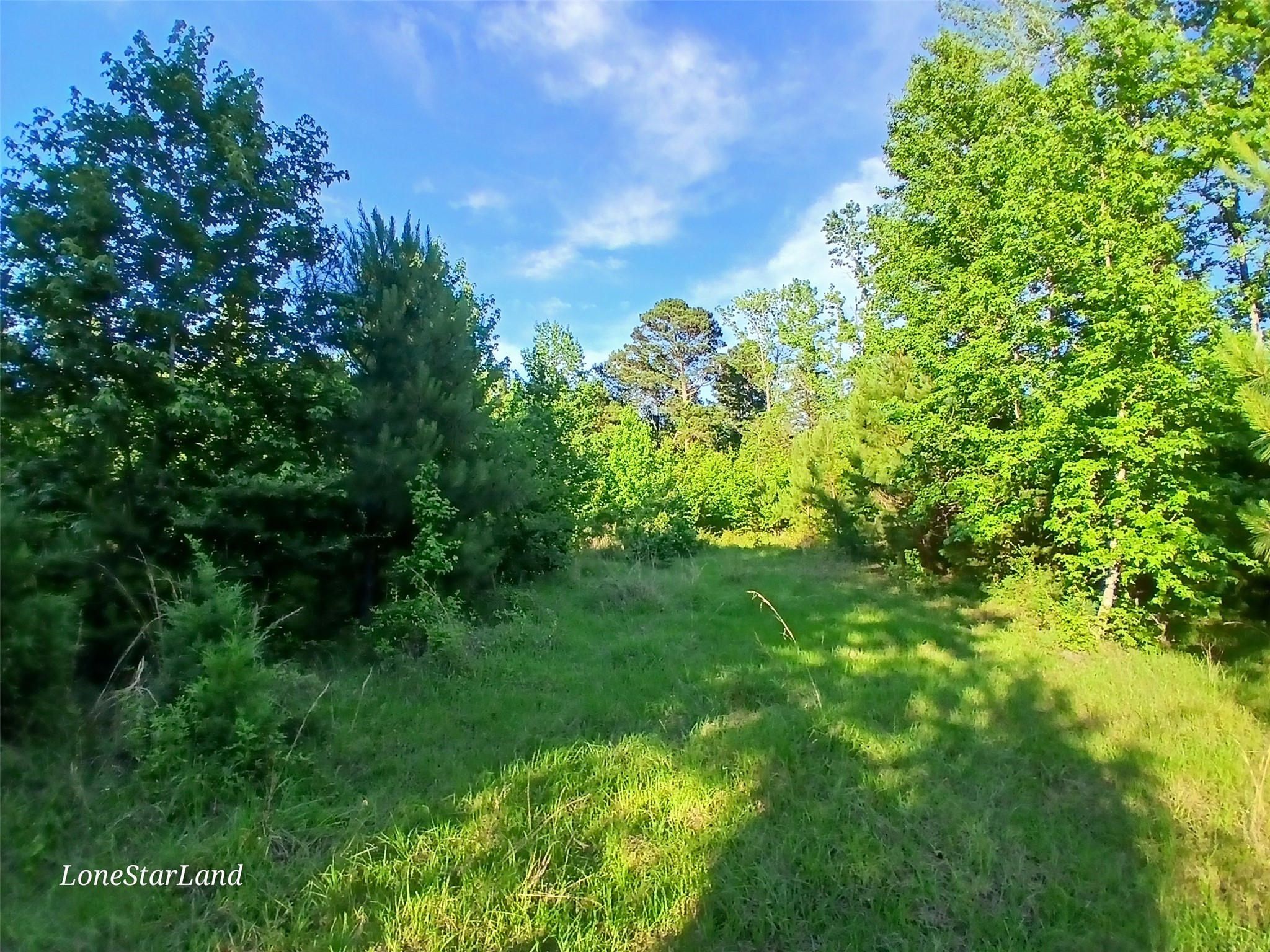 475 County Road 4421 Pittsburg TX 75686