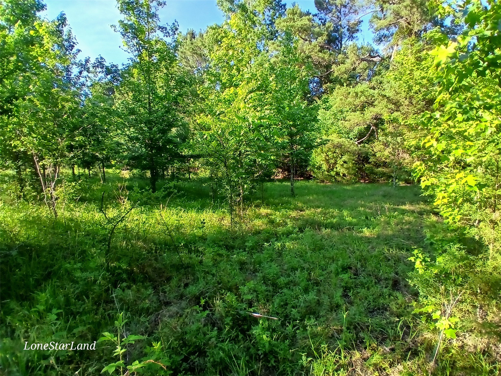 475 County Road 4421 Pittsburg TX 75686