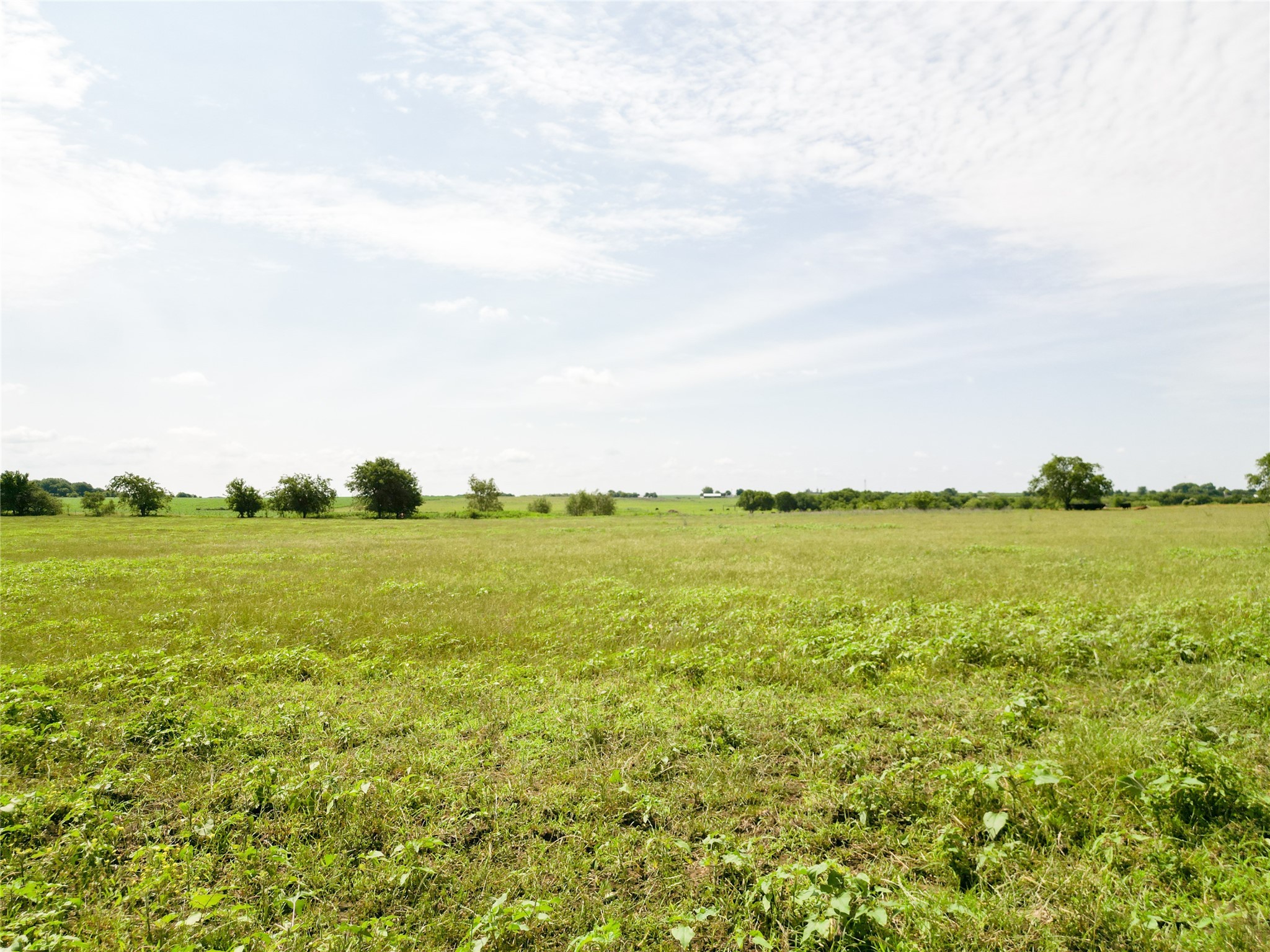 0000 Private Road 415 Road Covington TX 76636