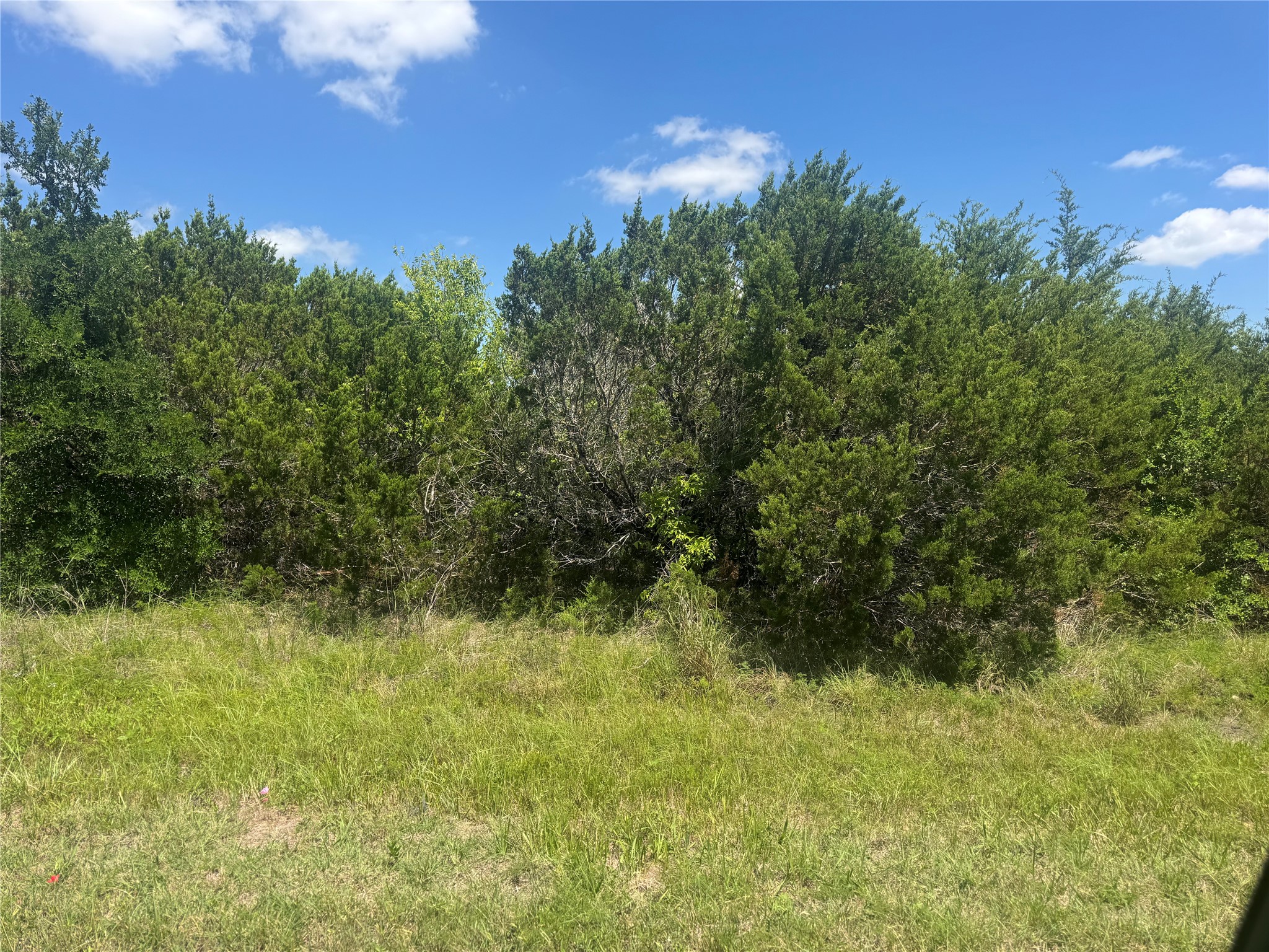 36059 Cedar Ridge Drive Whitney TX 76692