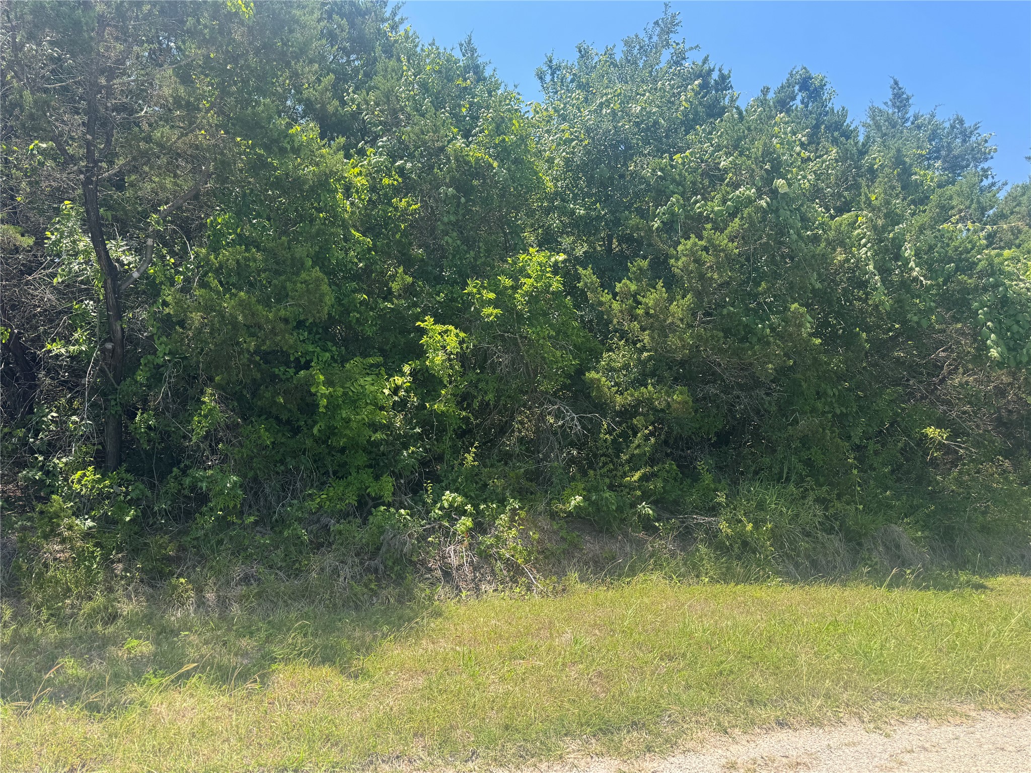 36059 Cedar Ridge Drive Whitney TX 76692