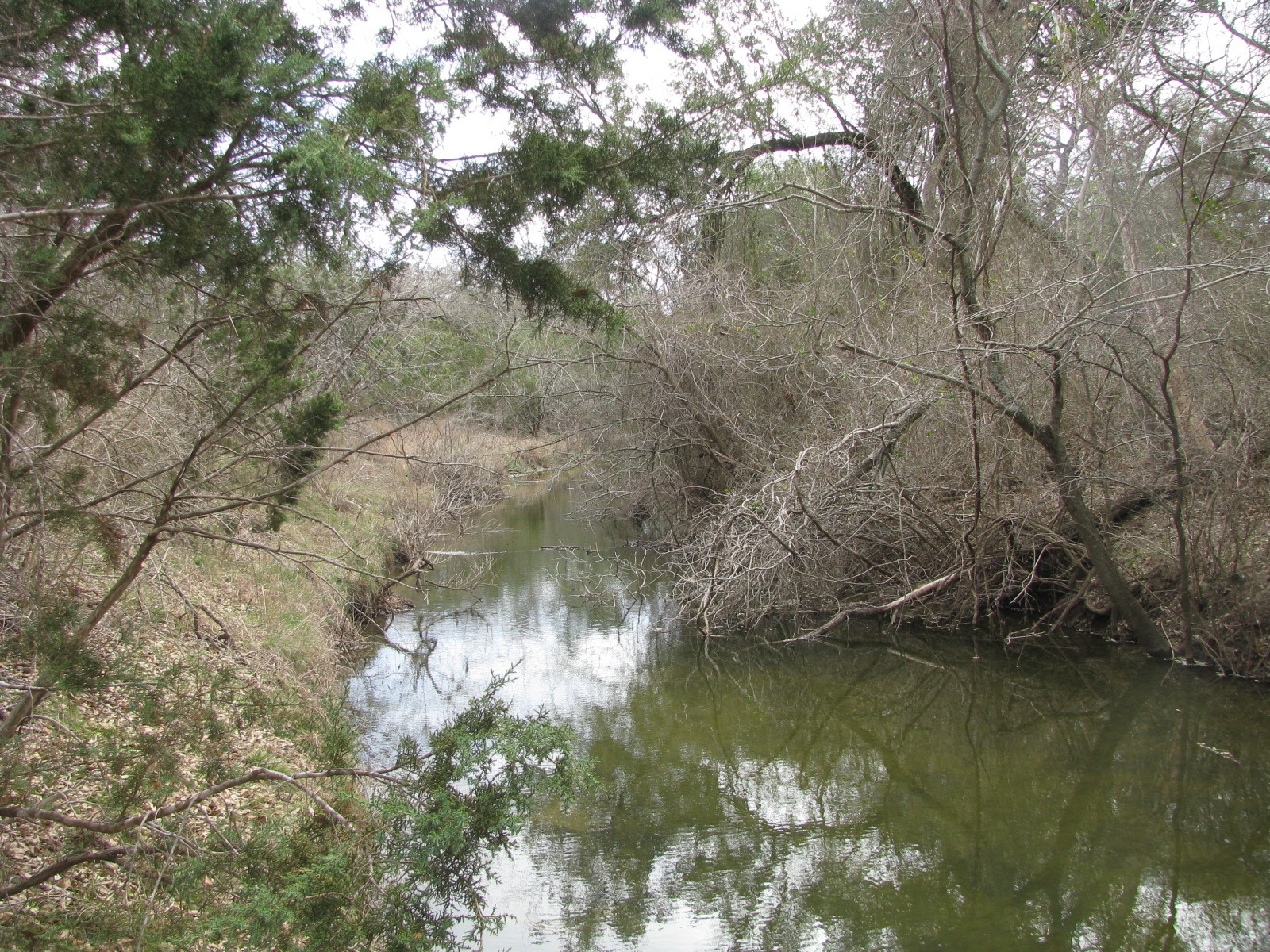 48 Acres Tdb Harmon Road Copperas Cove TX 76522