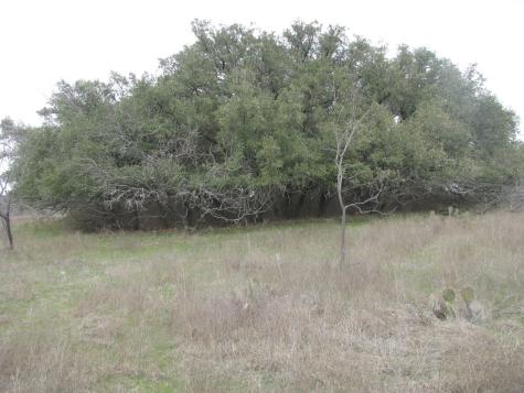 48 Acres Tdb Harmon Road Copperas Cove TX 76522