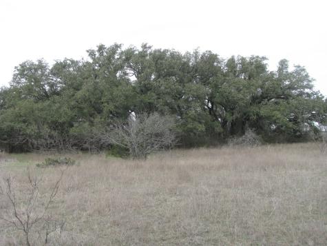 48 Acres Tdb Harmon Road Copperas Cove TX 76522