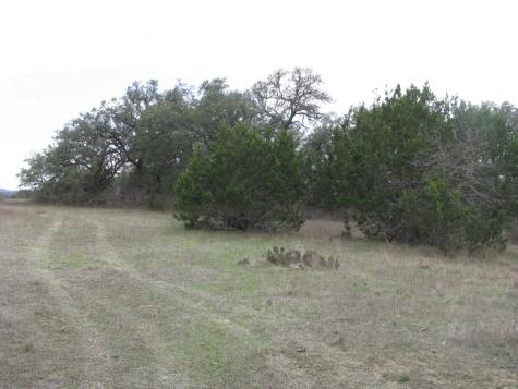 48 Acres Tdb Harmon Road Copperas Cove TX 76522