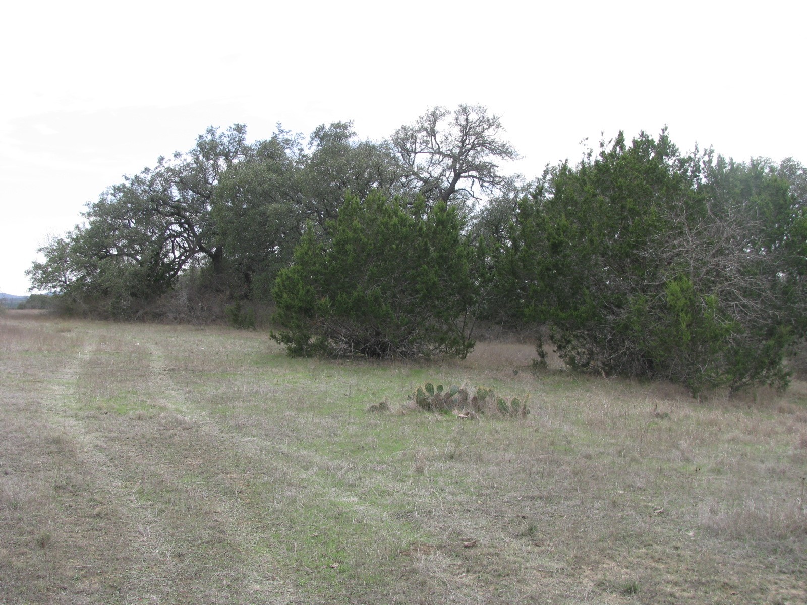 48 Acres Tdb Harmon Road Copperas Cove TX 76522
