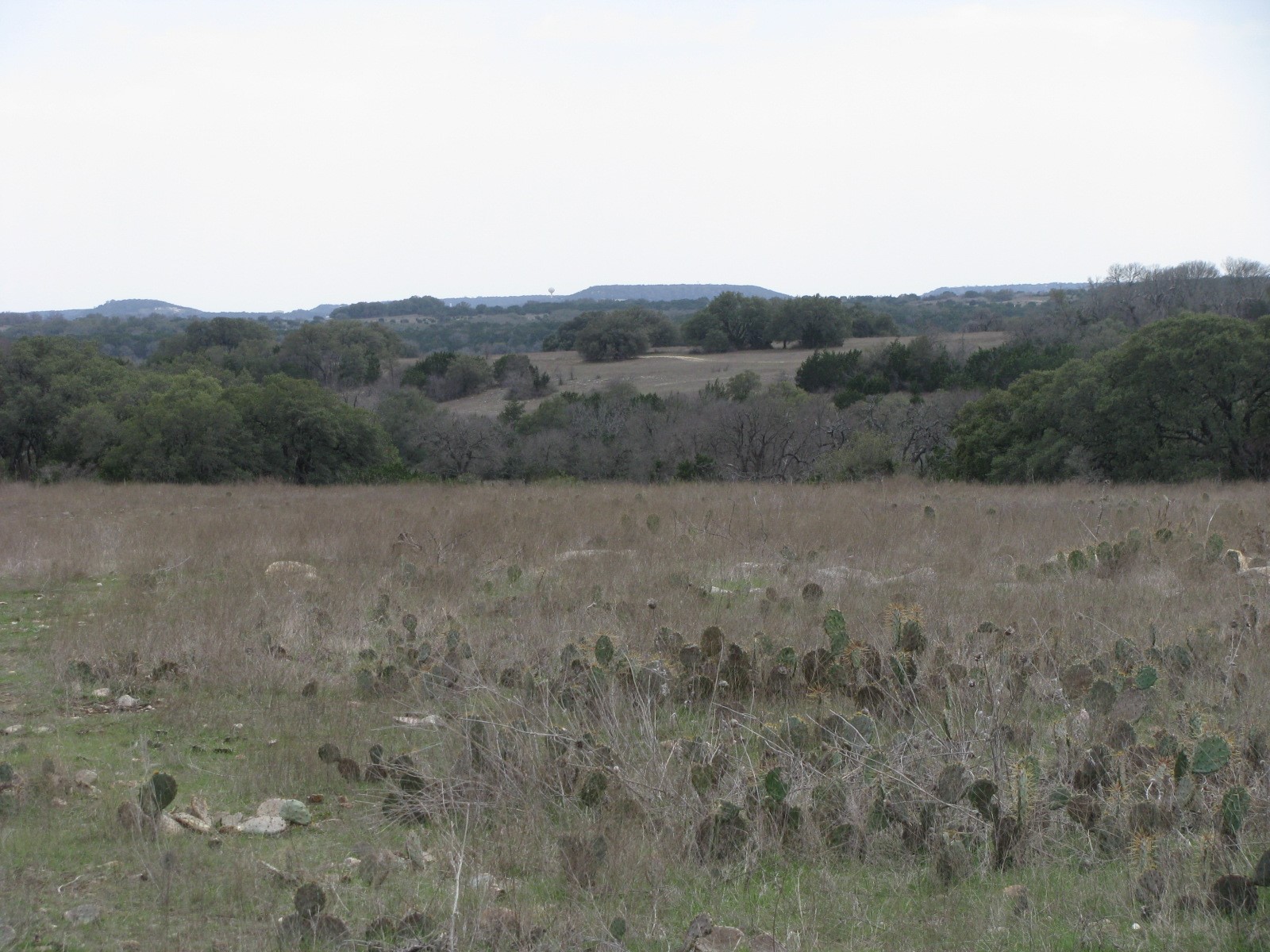48 Acres Tdb Harmon Road Copperas Cove TX 76522
