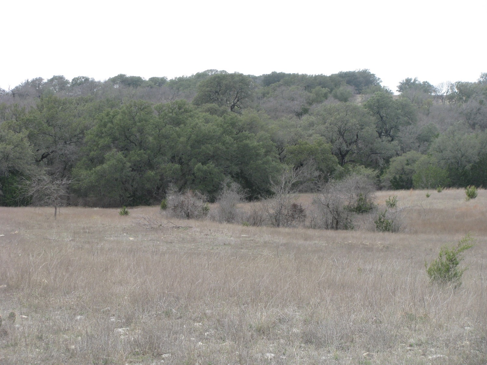 48 Acres Tdb Harmon Road Copperas Cove TX 76522