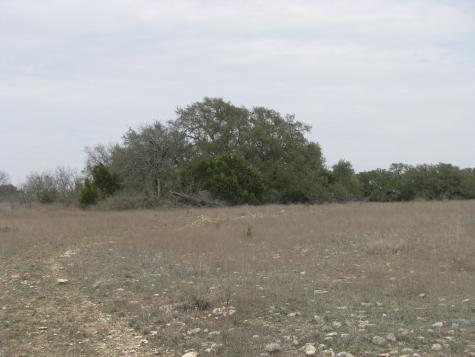 48 Acres Tdb Harmon Road Copperas Cove TX 76522