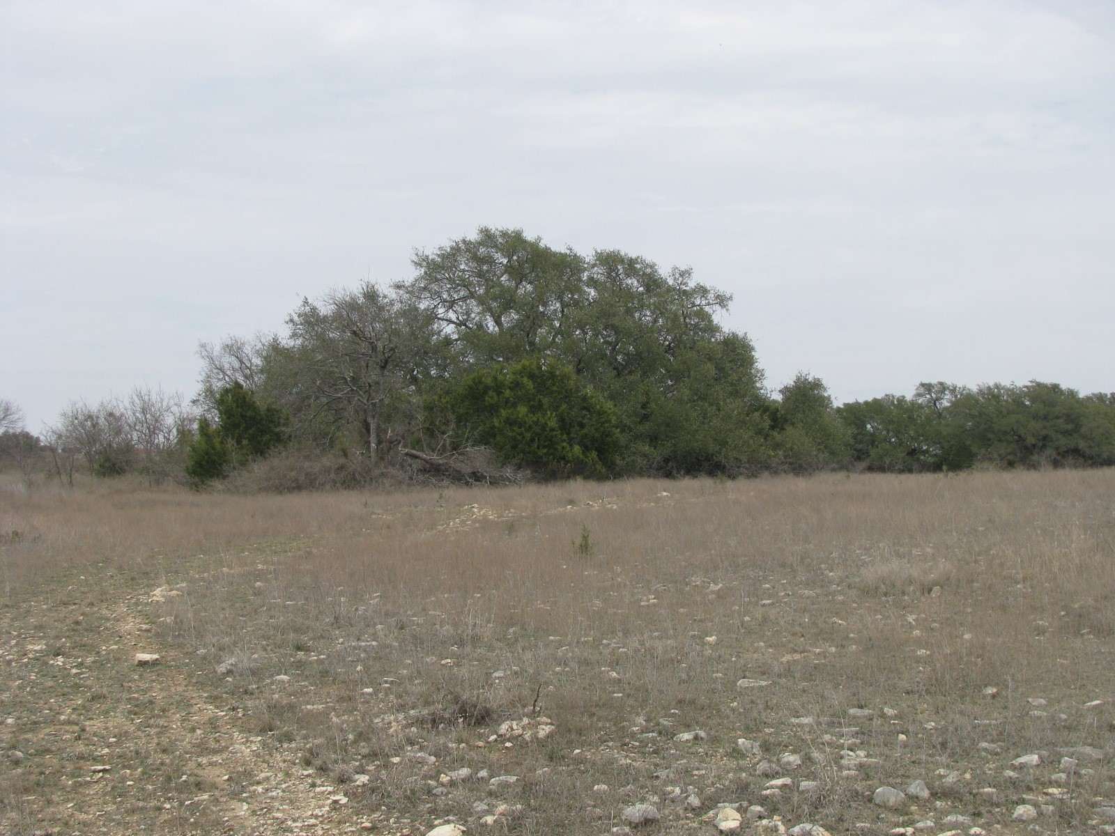 48 Acres Tdb Harmon Road Copperas Cove TX 76522