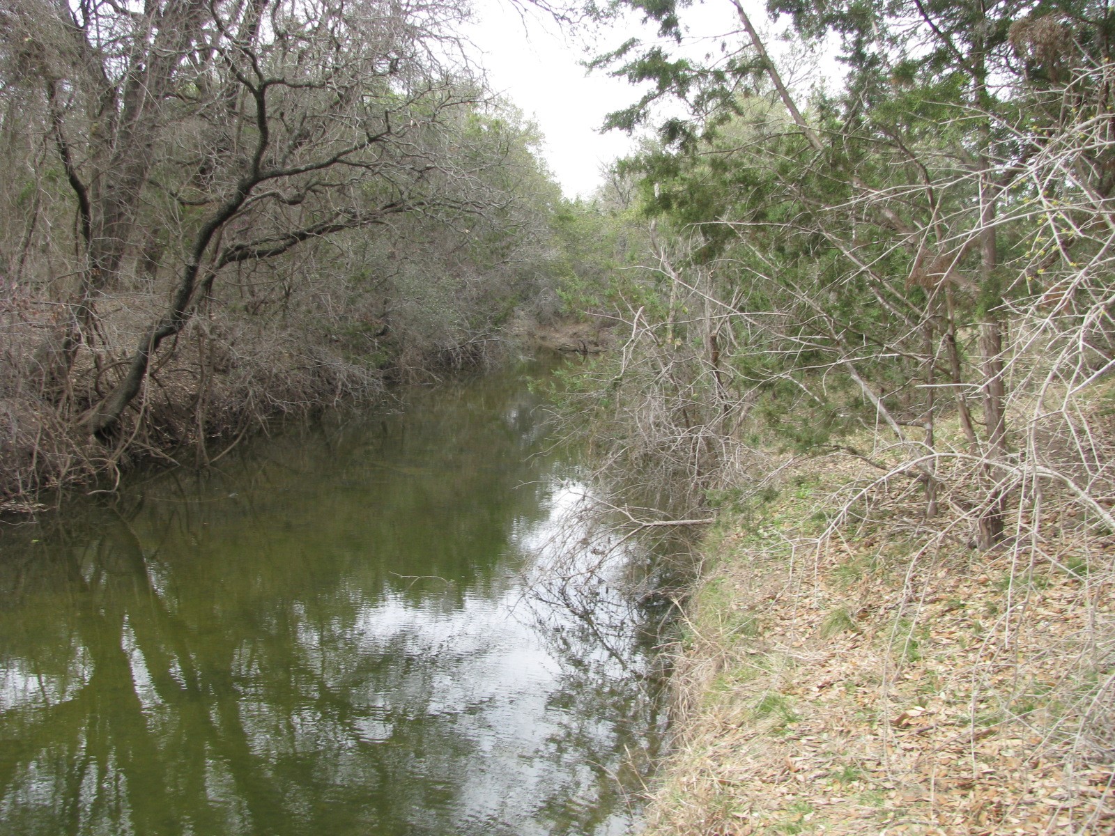 48 Acres Tdb Harmon Road Copperas Cove TX 76522