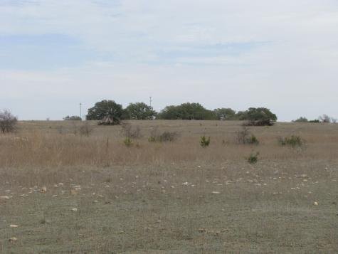 48 Acres Tdb Harmon Road Copperas Cove TX 76522