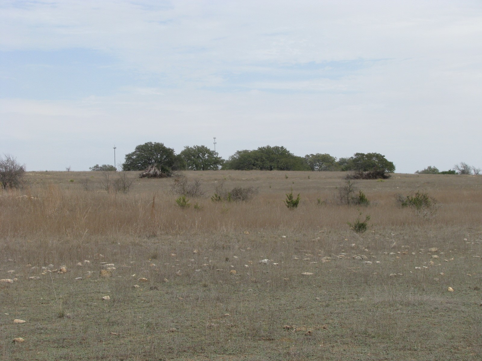 48 Acres Tdb Harmon Road Copperas Cove TX 76522