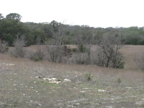 48 Acres Tdb Harmon Road Copperas Cove TX 76522