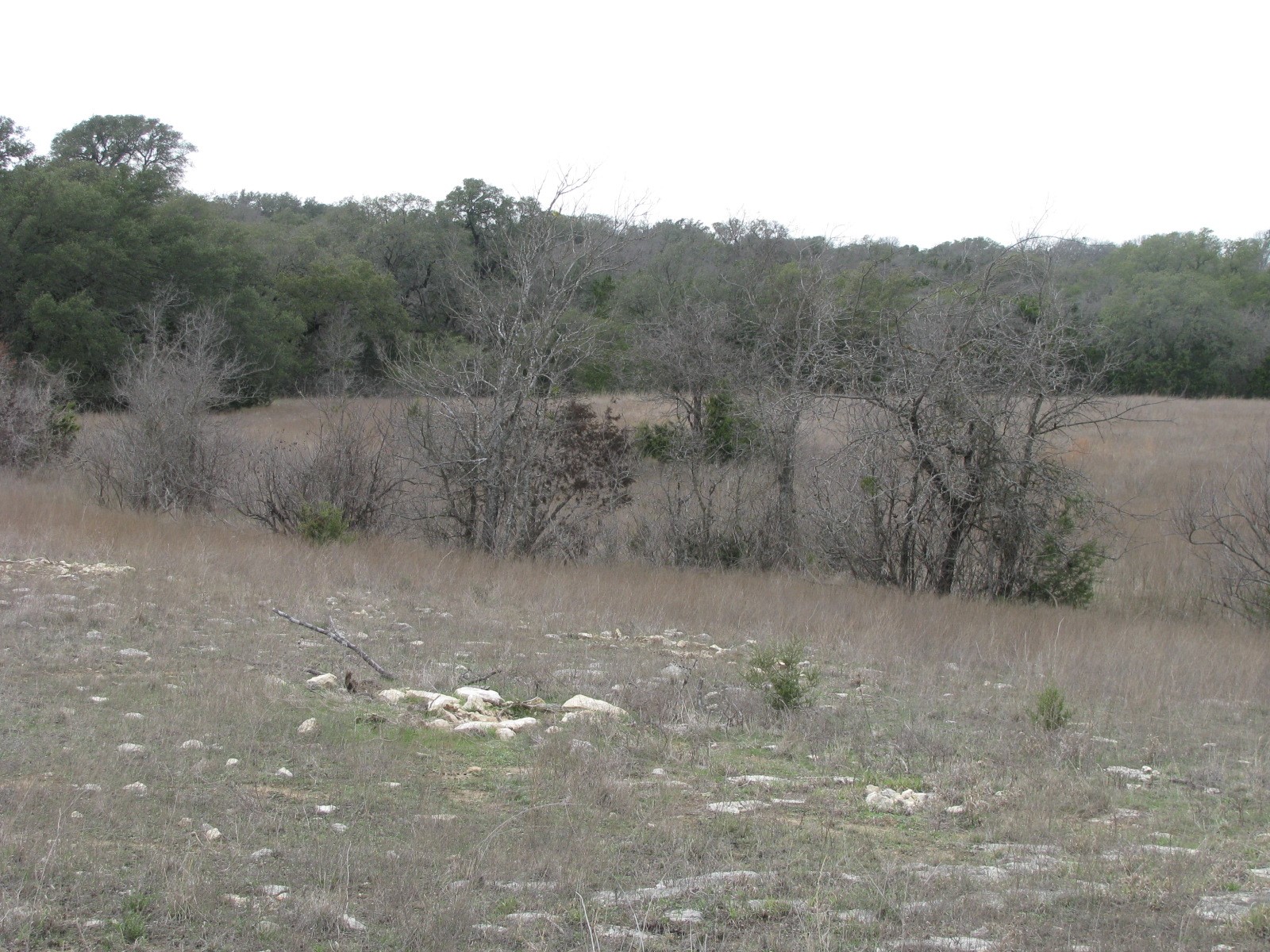 48 Acres Tdb Harmon Road Copperas Cove TX 76522
