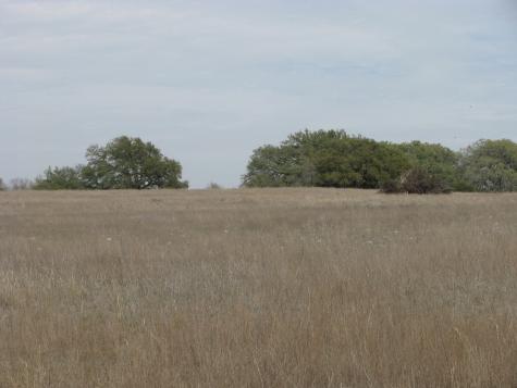 48 Acres Tdb Harmon Road Copperas Cove TX 76522