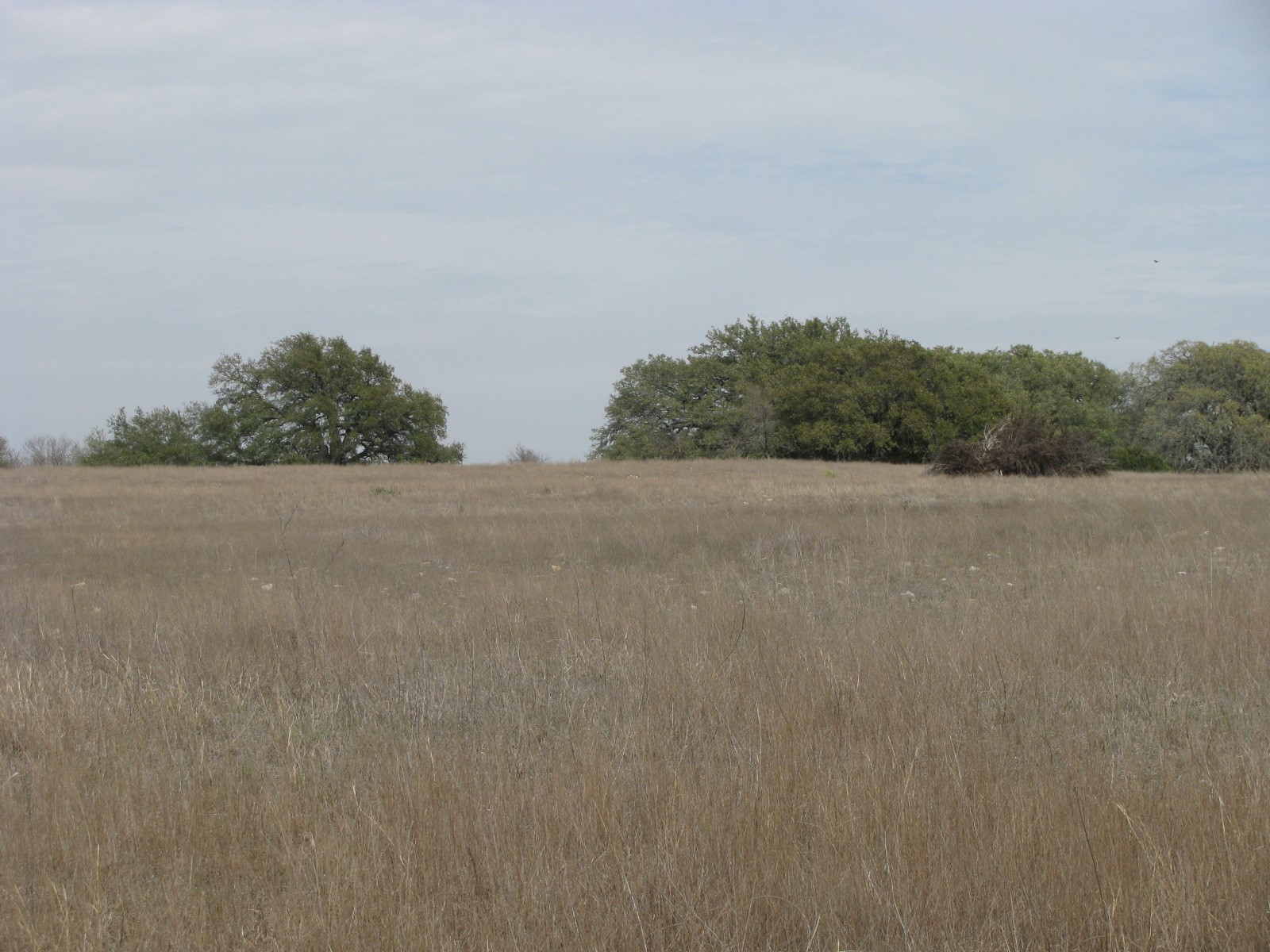 48 Acres Tdb Harmon Road Copperas Cove TX 76522