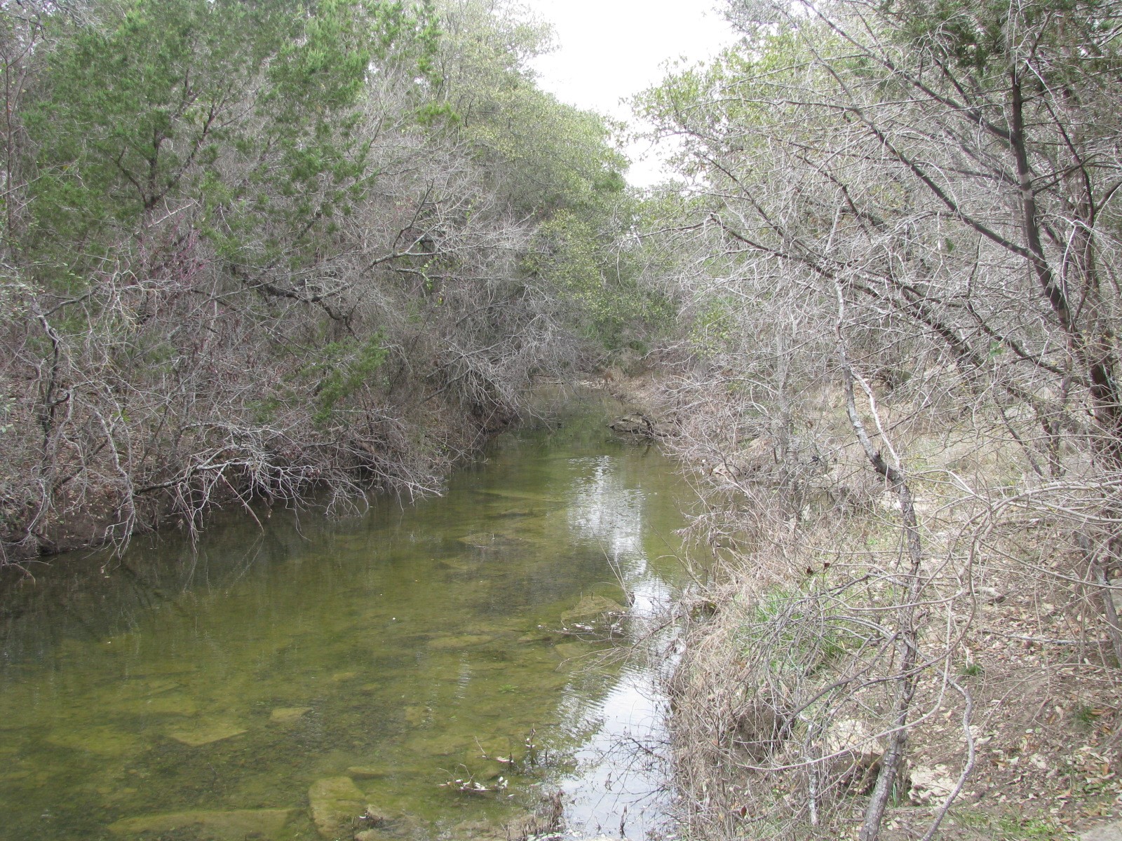 48 Acres Tdb Harmon Road Copperas Cove TX 76522