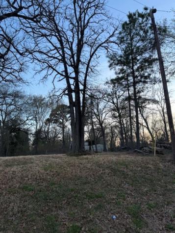 125 Lynn Creek Drive Mabank TX 75156