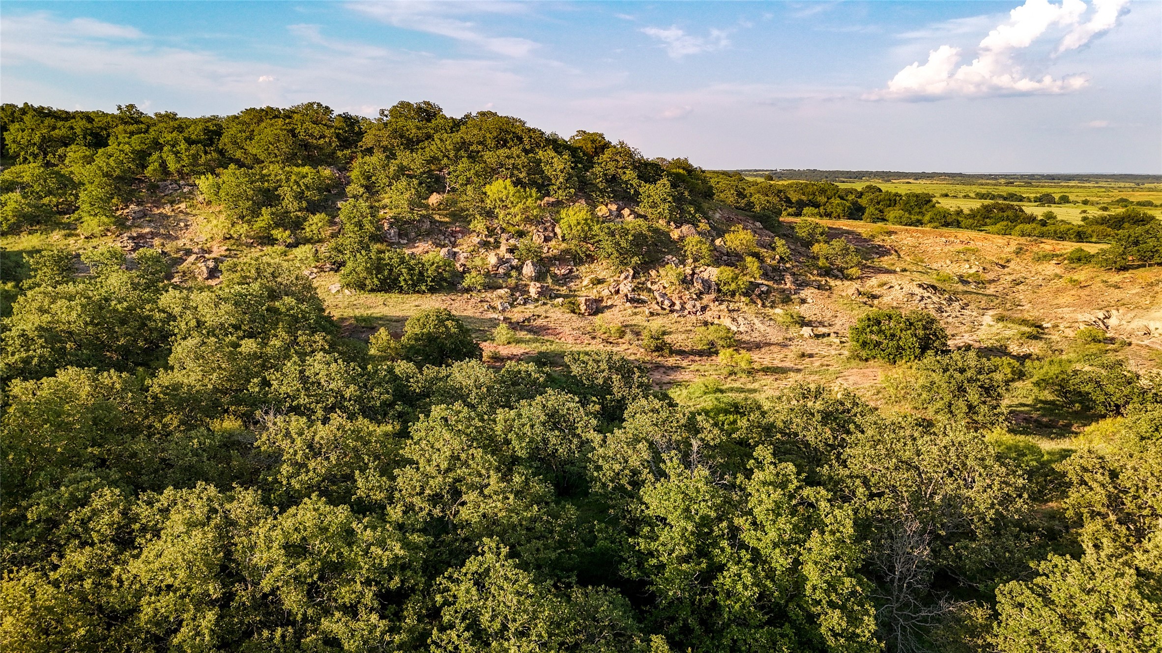 Tbd Vicars Road Bellevue TX 76228