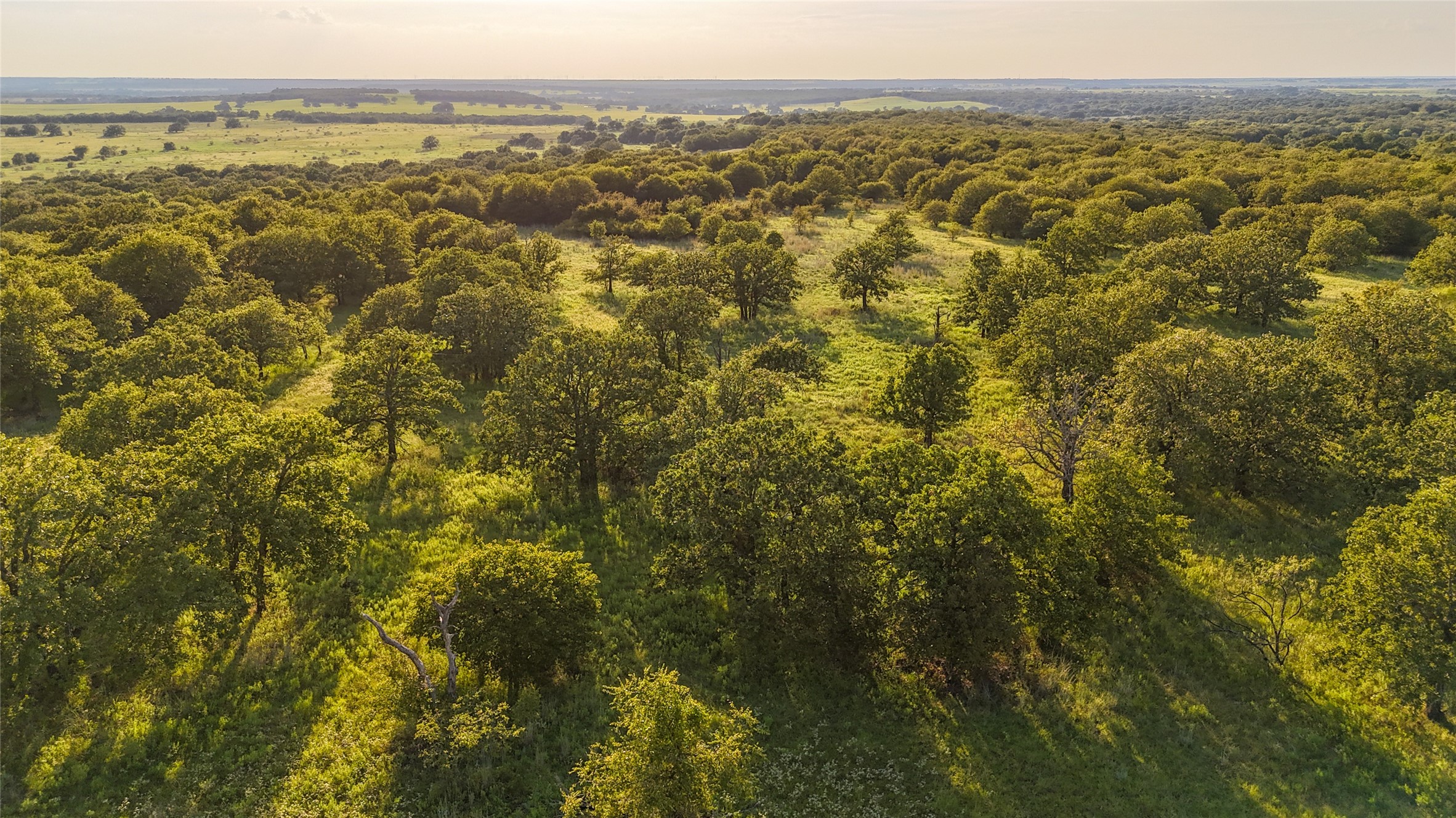 Tbd Vicars Road Bellevue TX 76228