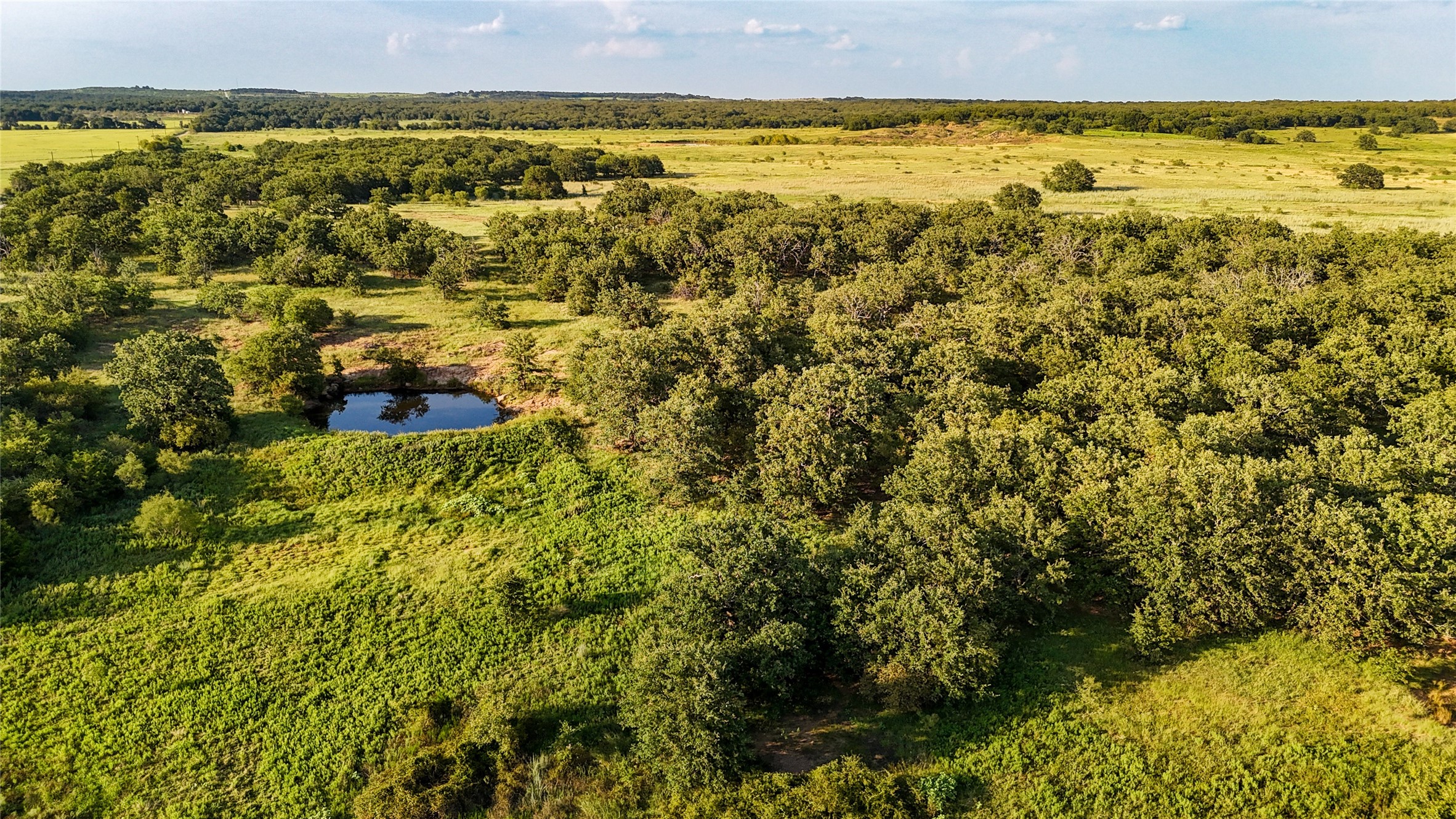Tbd Vicars Road Bellevue TX 76228