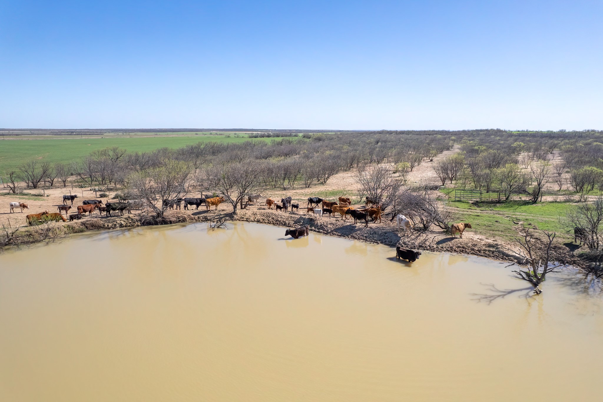 Tbd Cr 300 Coleman TX 76834