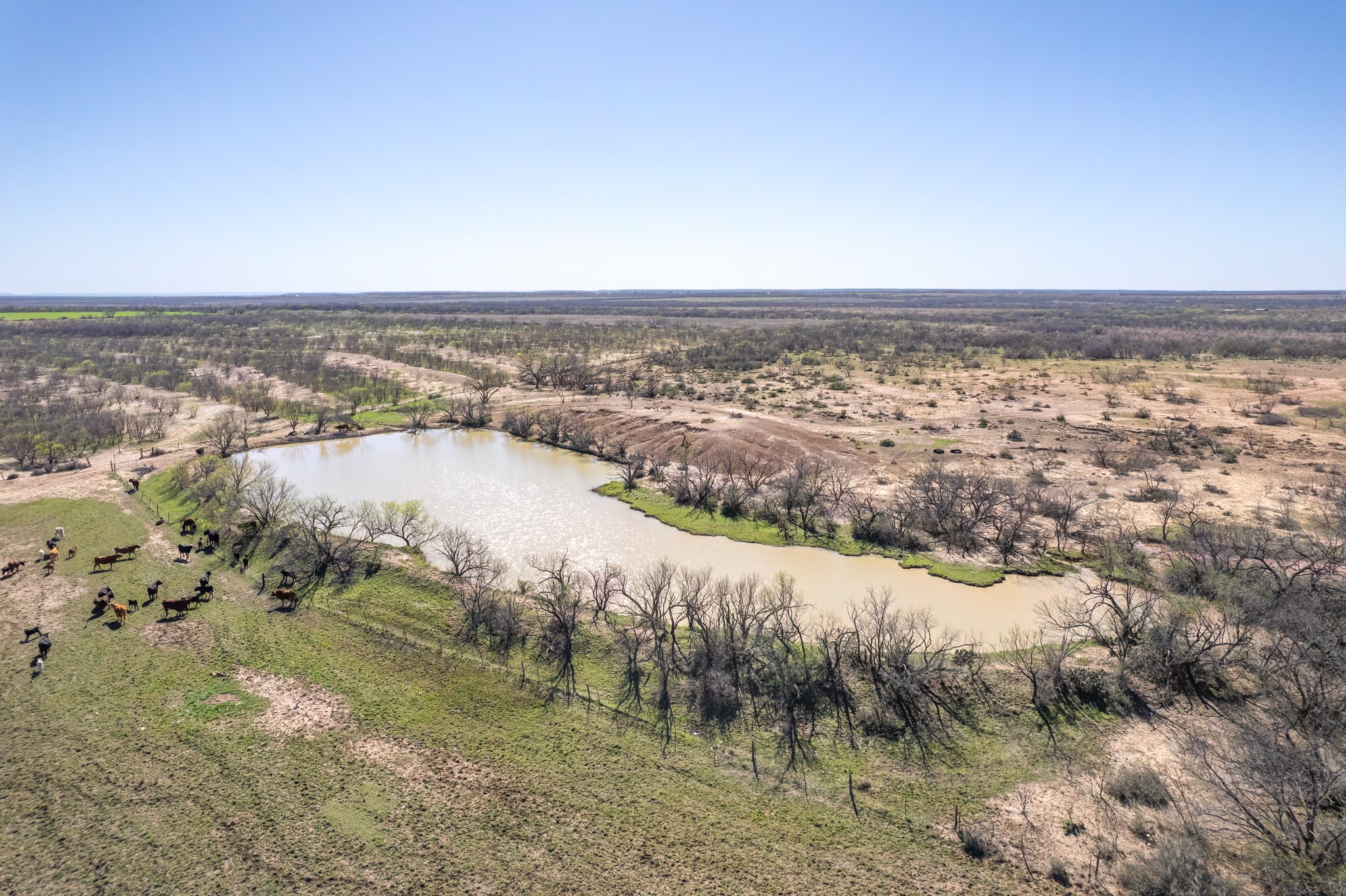 Tbd Cr 300 Coleman TX 76834