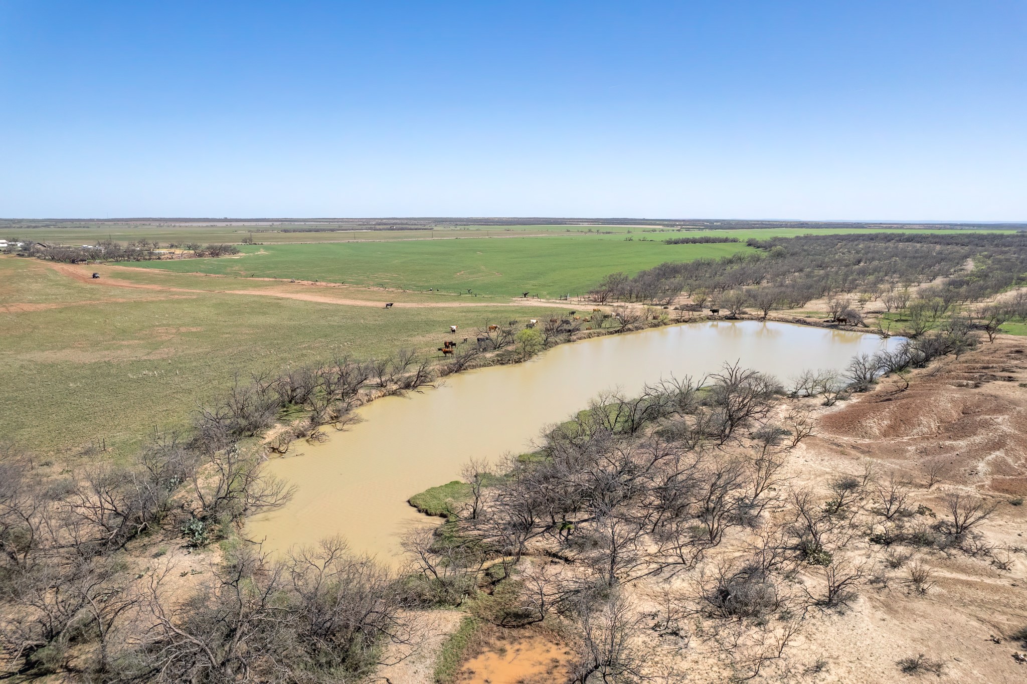 Tbd Cr 300 Coleman TX 76834