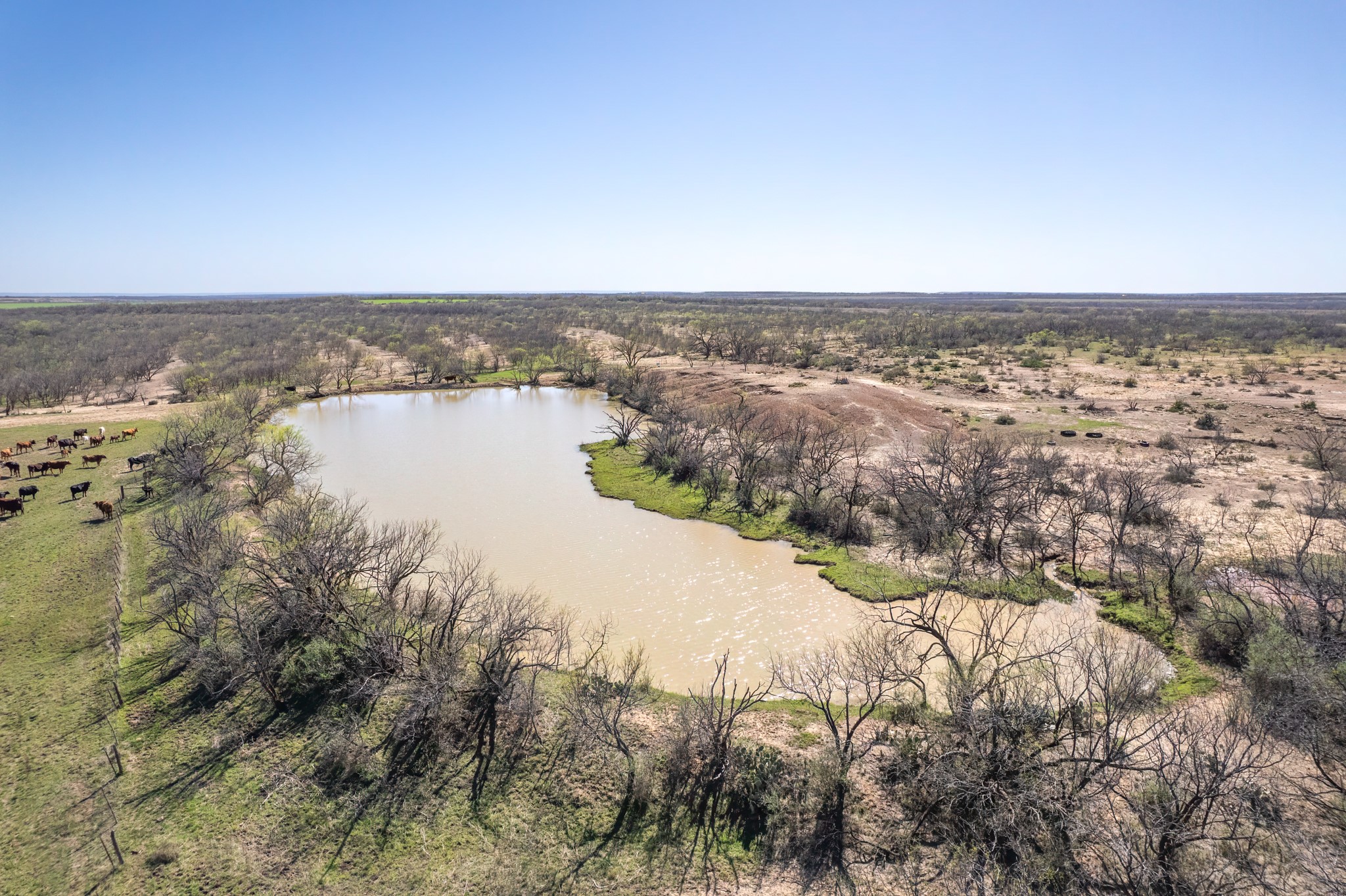 Tbd Cr 300 Coleman TX 76834