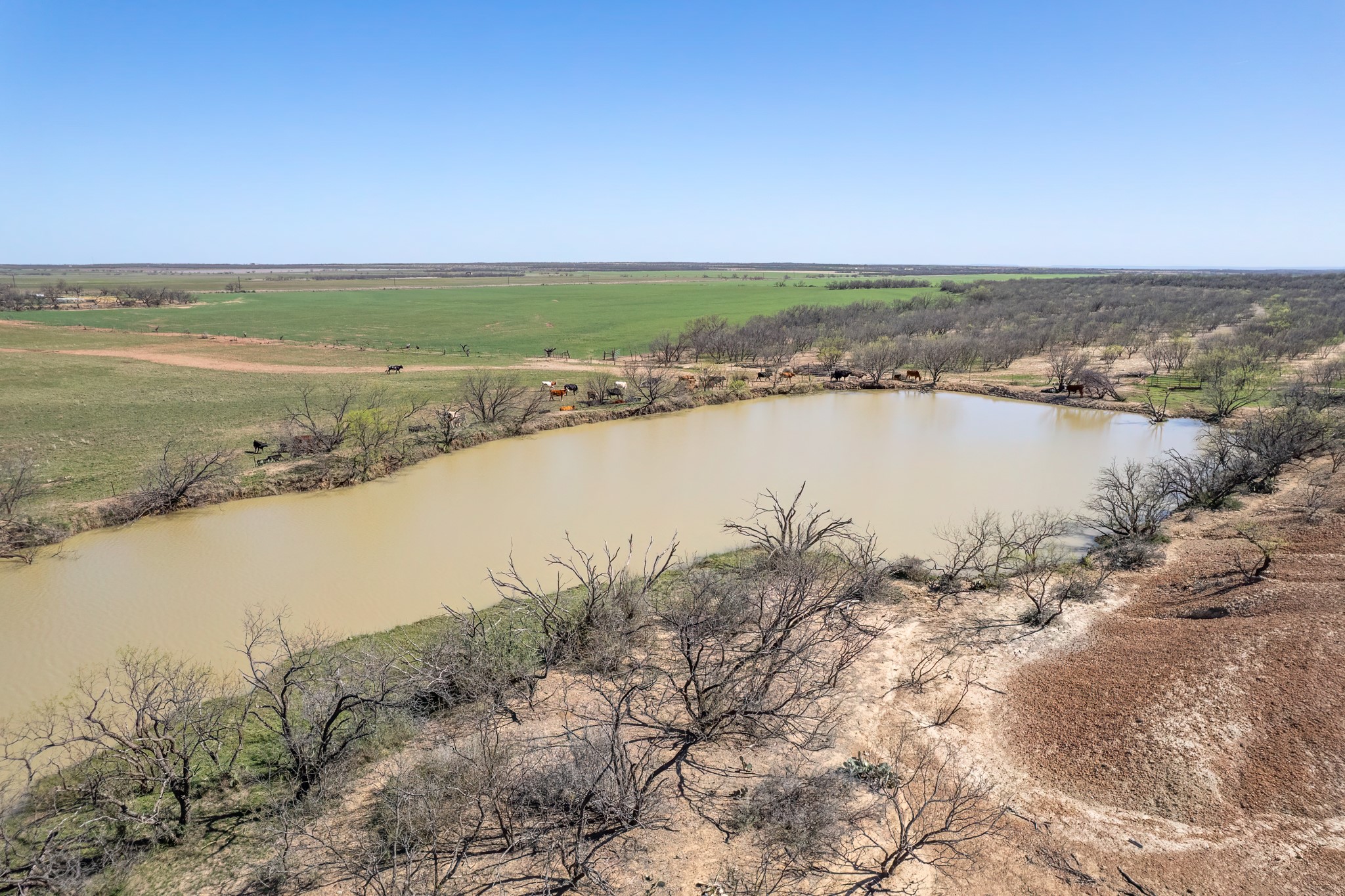 Tbd Cr 300 Coleman TX 76834