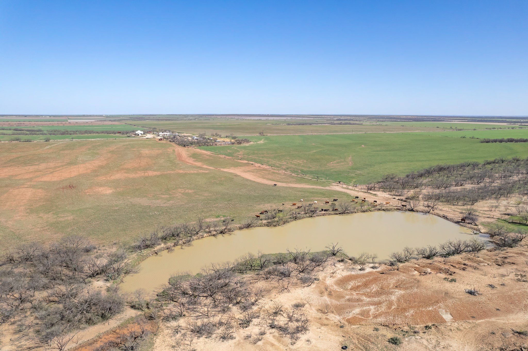 Tbd Cr 300 Coleman TX 76834