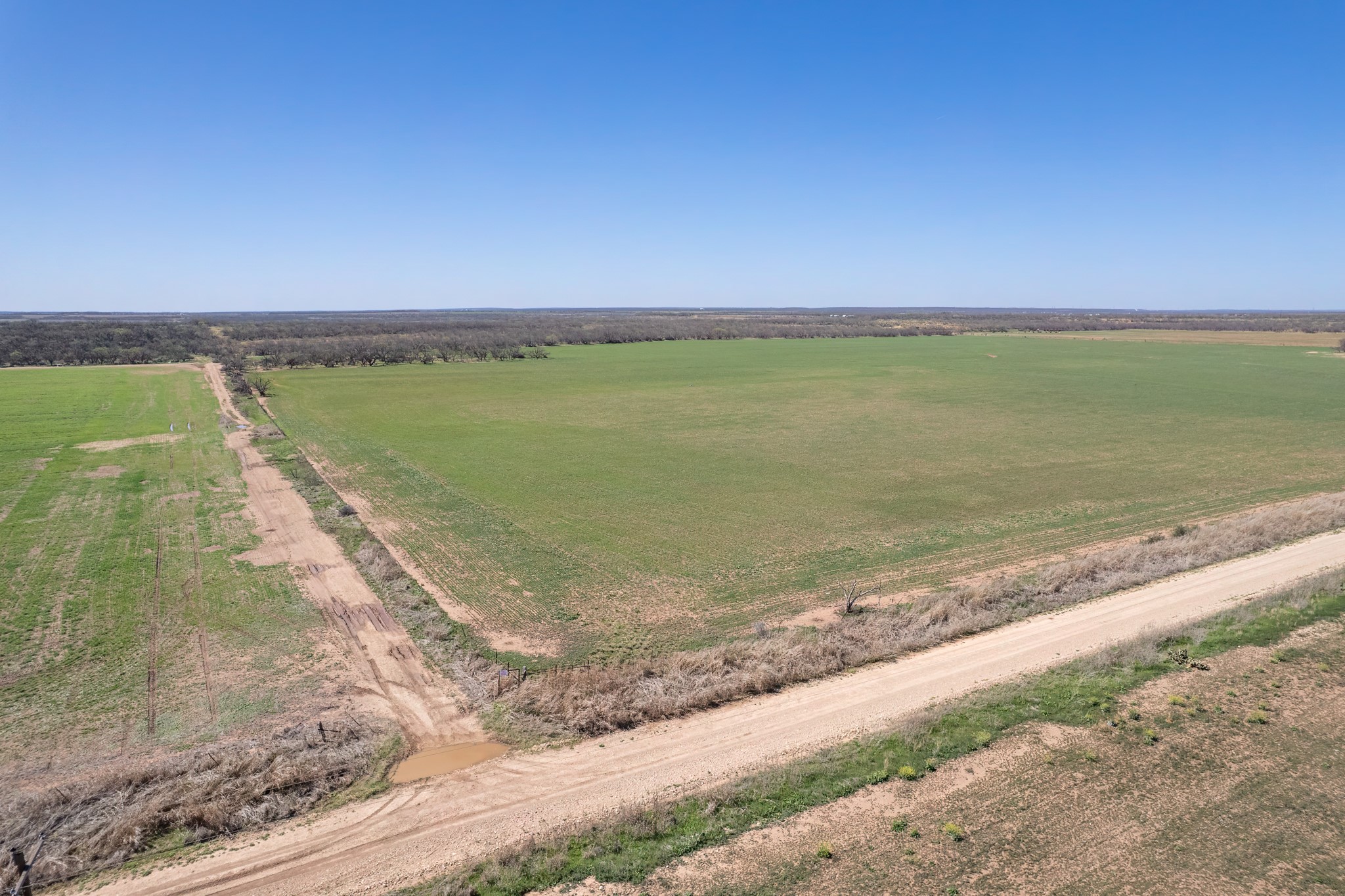 Tbd Cr 300 Coleman TX 76834
