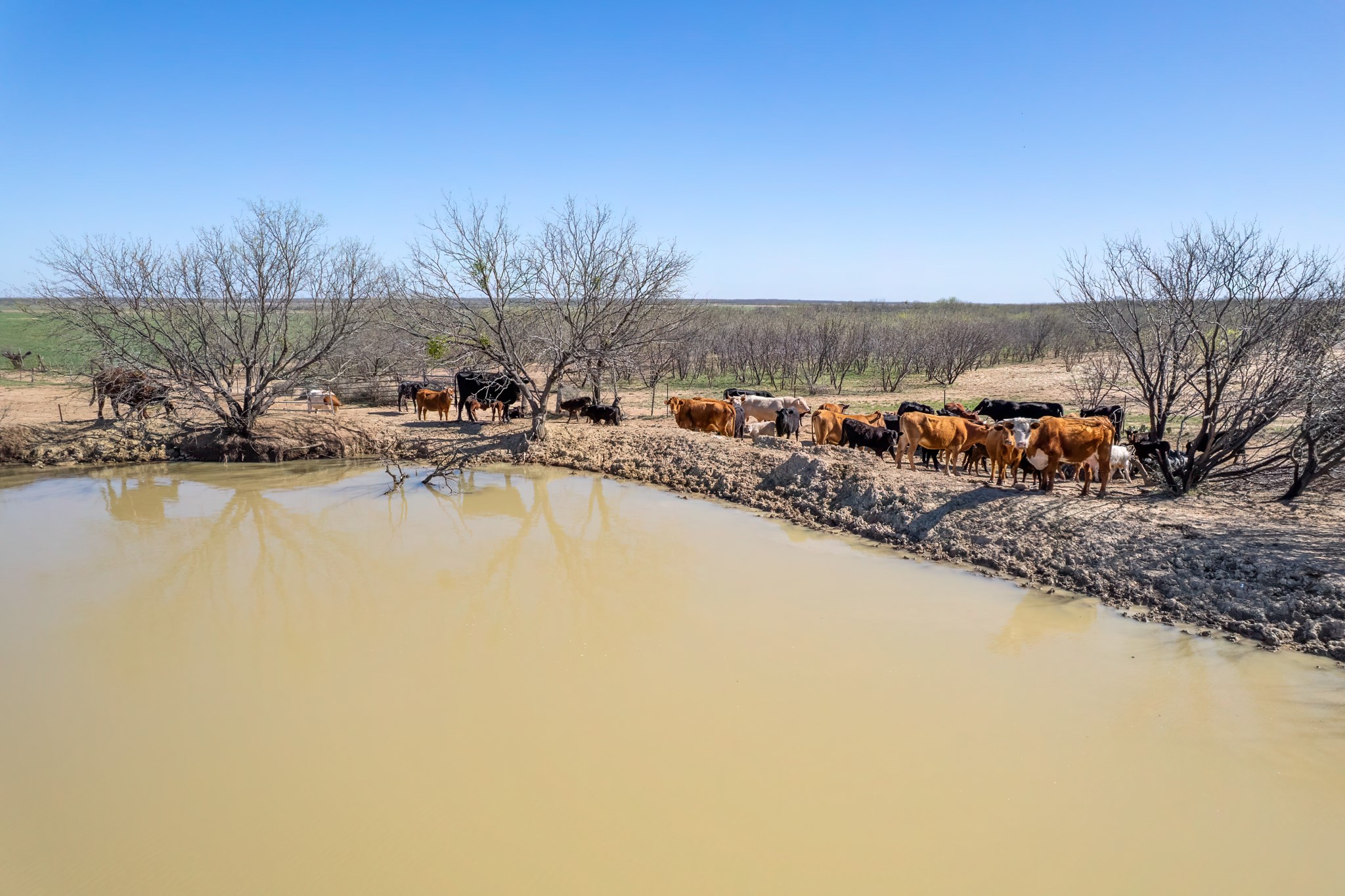 Tbd Cr 300 Coleman TX 76834